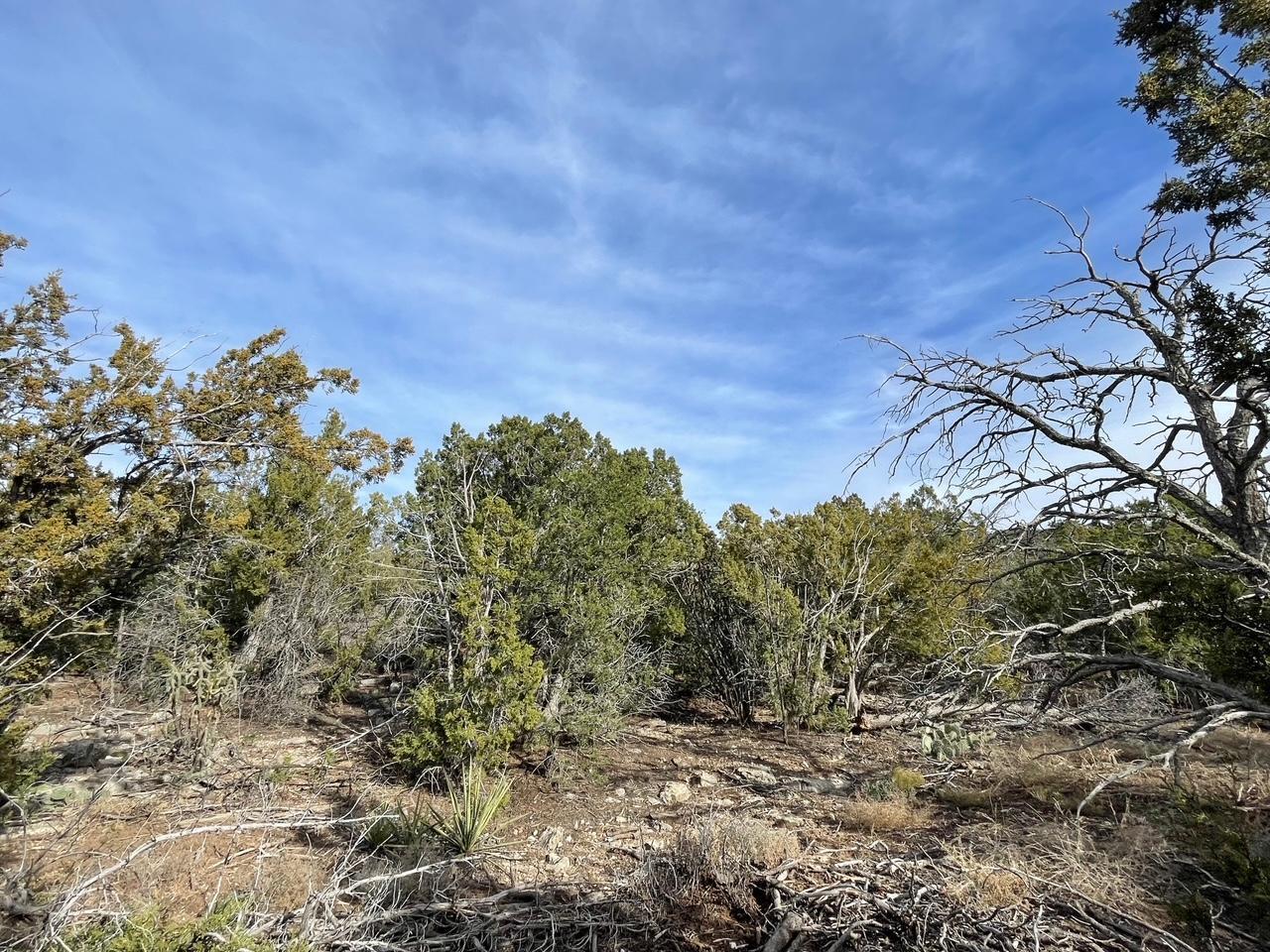Photo 3 — 194 B County Line Road