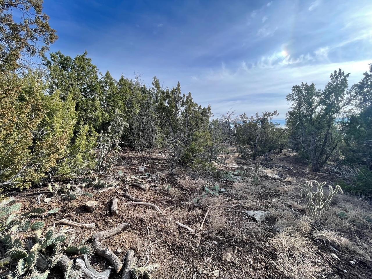 Photo 2 — 194 B County Line Road