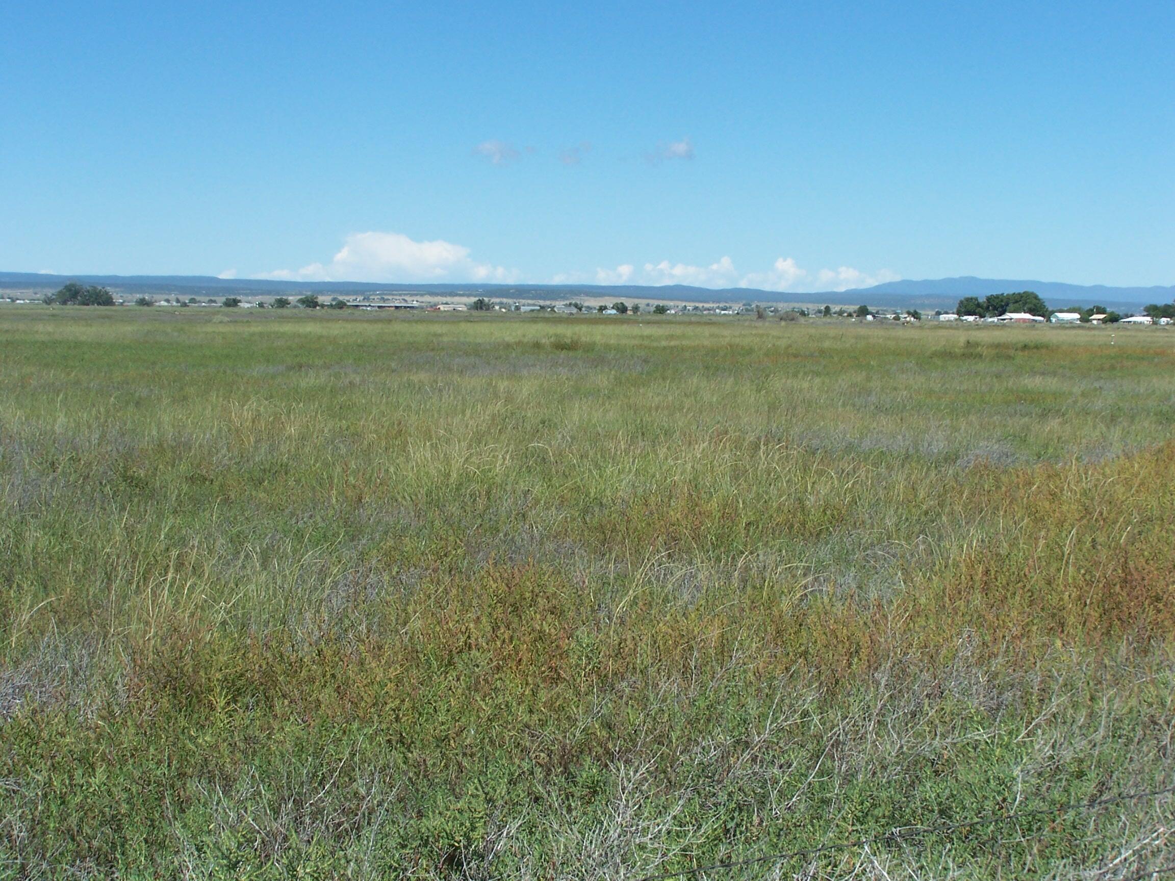  C. DEL SOL A081/MULBERRY A146, McIntosh, NM 87032