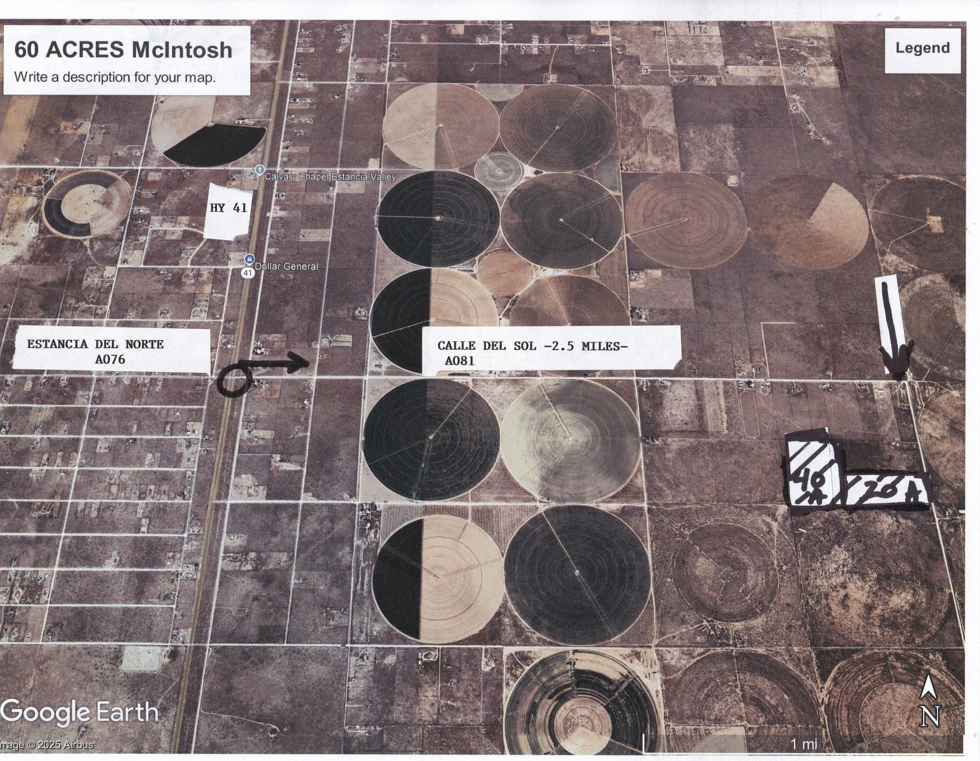 Photo 6 —  C. DEL SOL A081/MULBERRY A146
