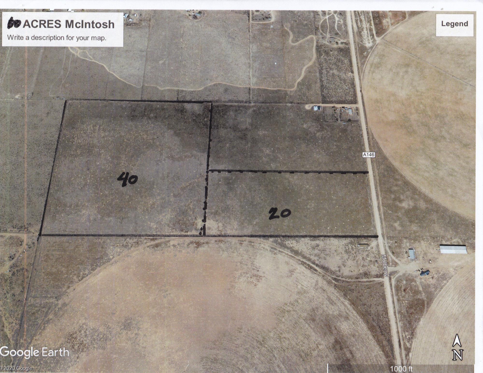 Photo 2 —  C. DEL SOL A081/MULBERRY A146