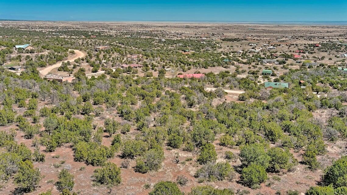 Photo 19 — 49 Thunder Mountain Road