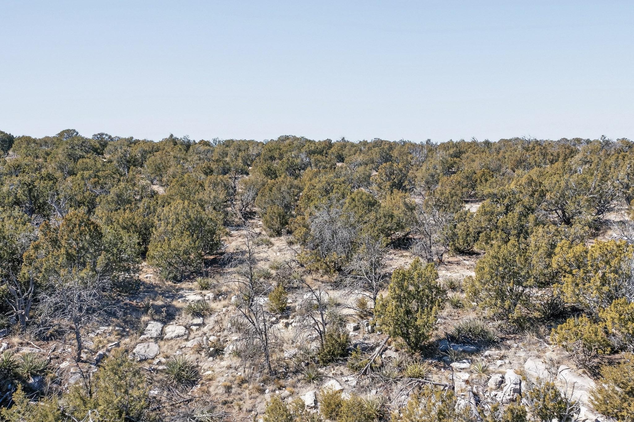 Photo 8 — 49 Thunder Mountain Road