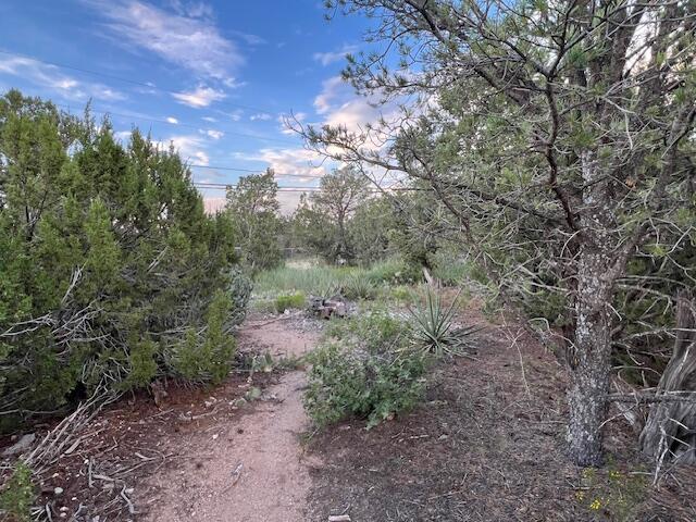 Photo 7 —  Lucas Road