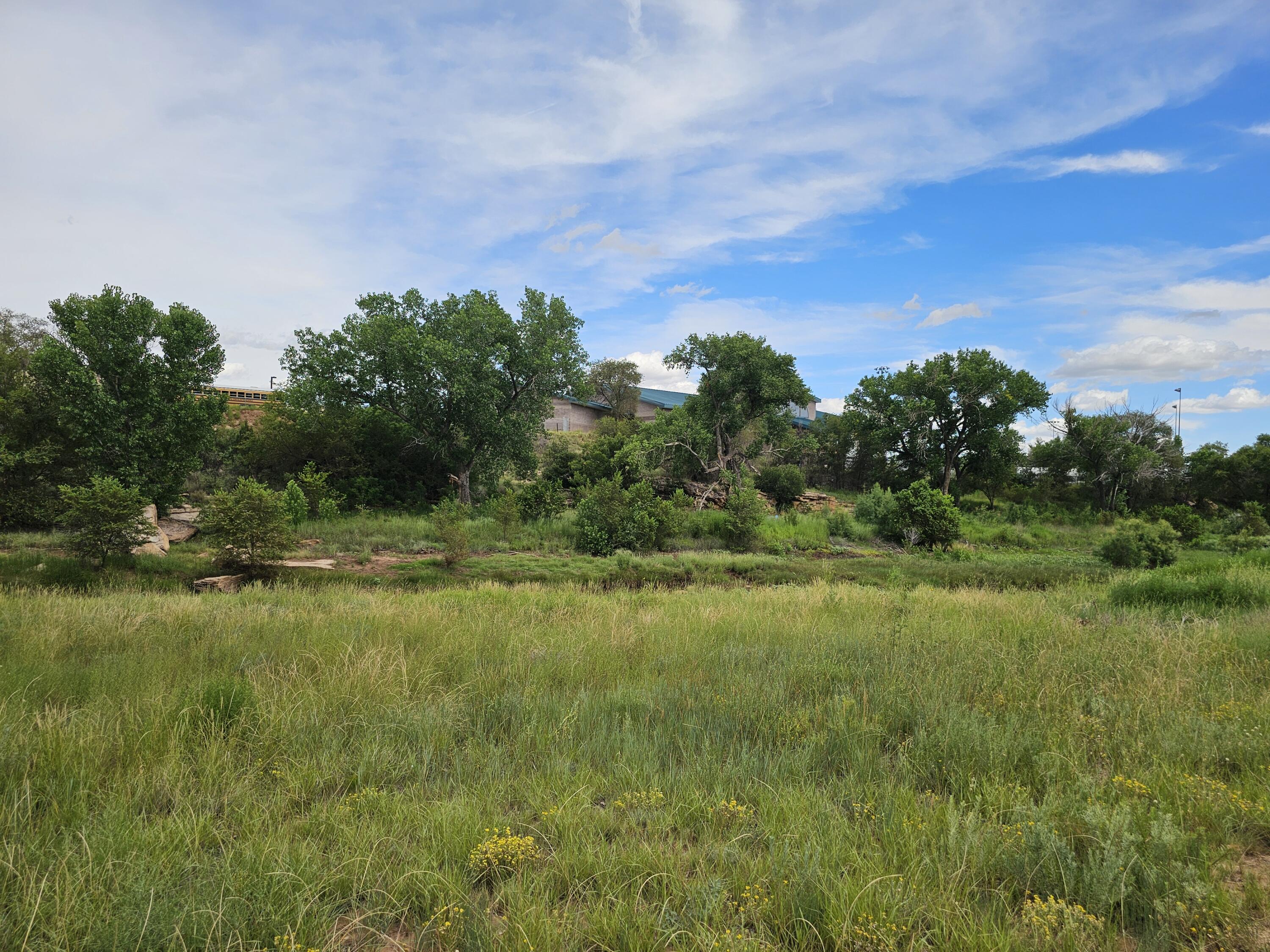 Photo 11 — 606 Lions Lane