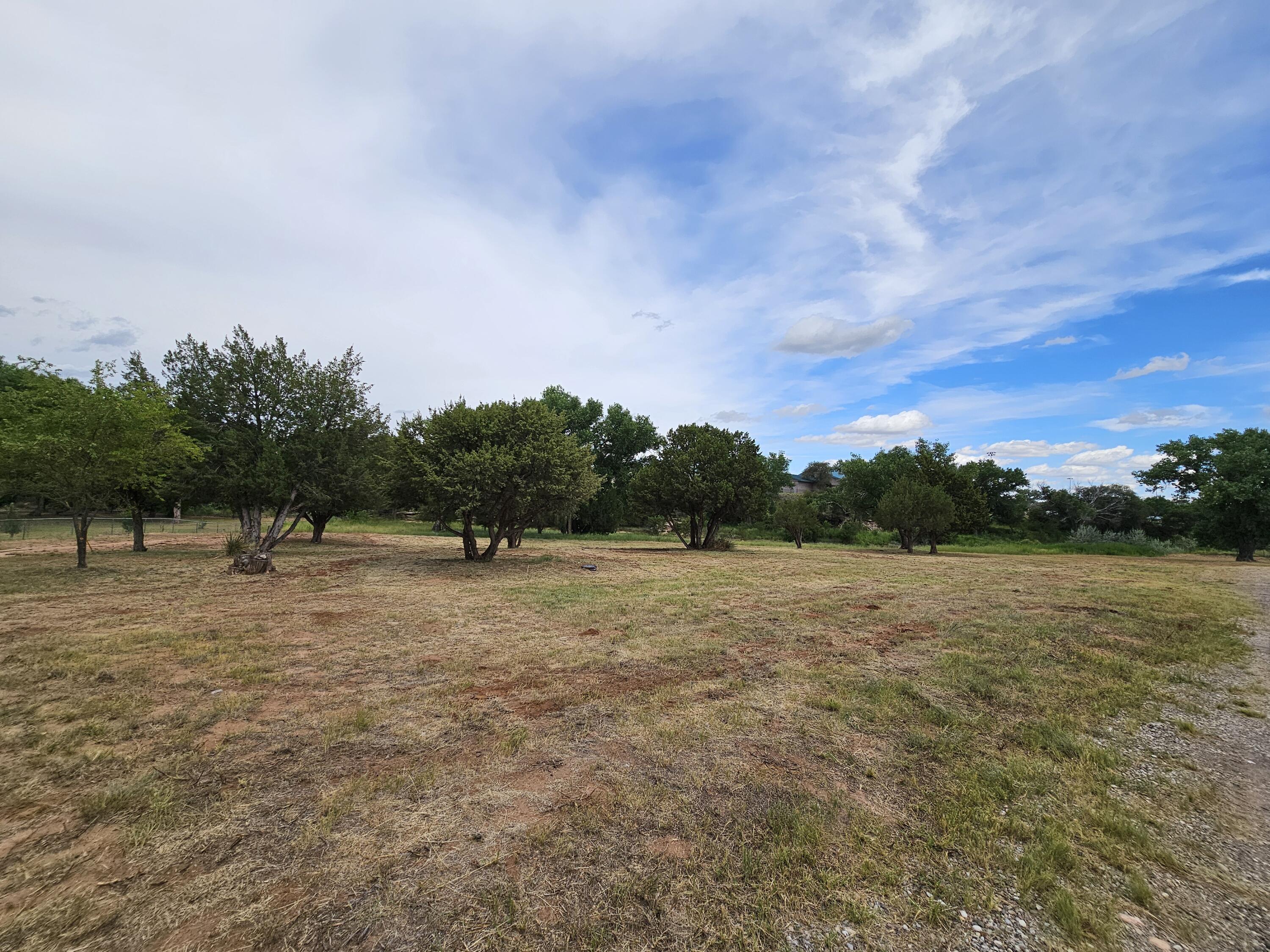 Photo 8 — 606 Lions Lane