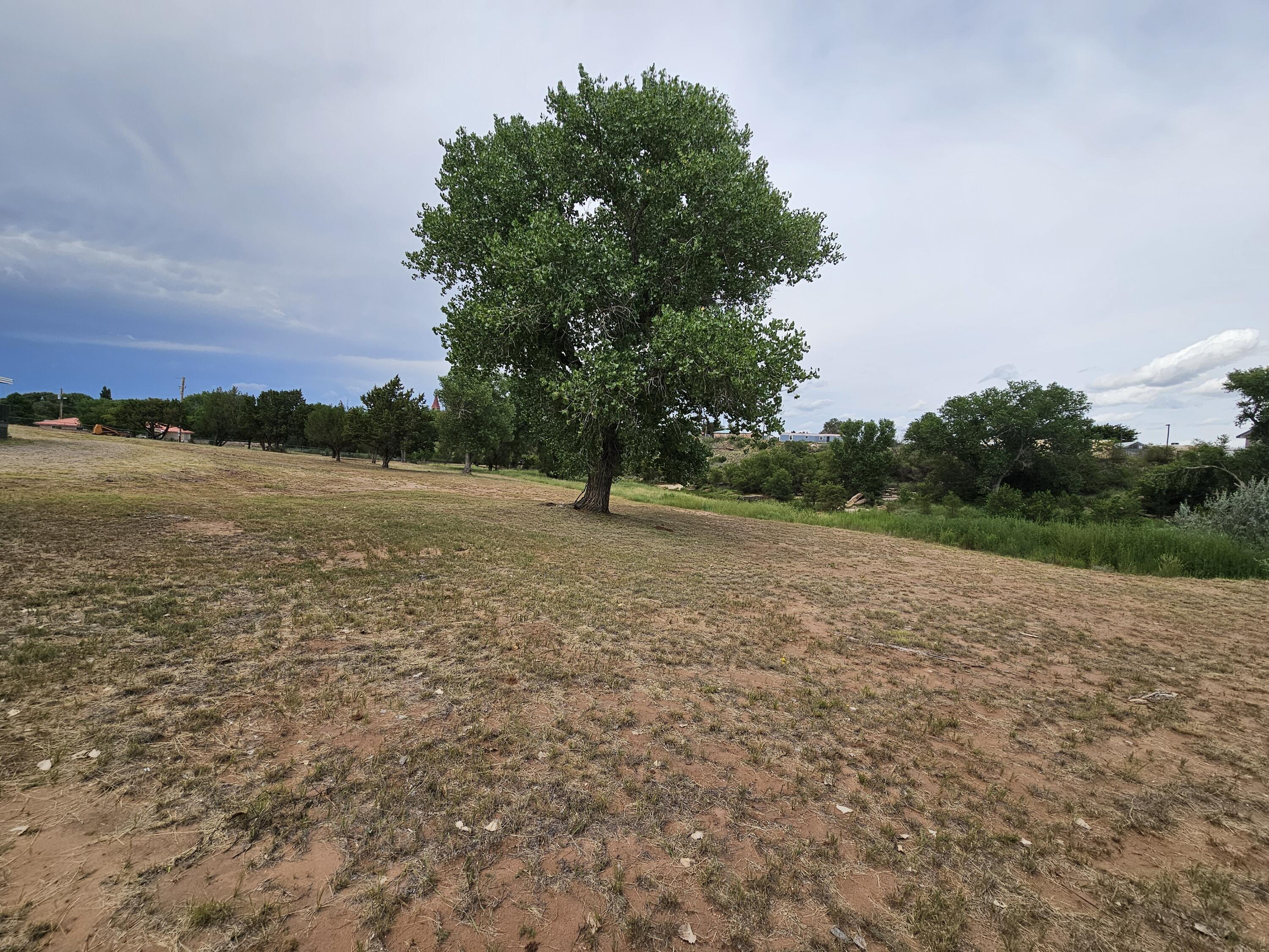 Photo 7 — 606 Lions Lane