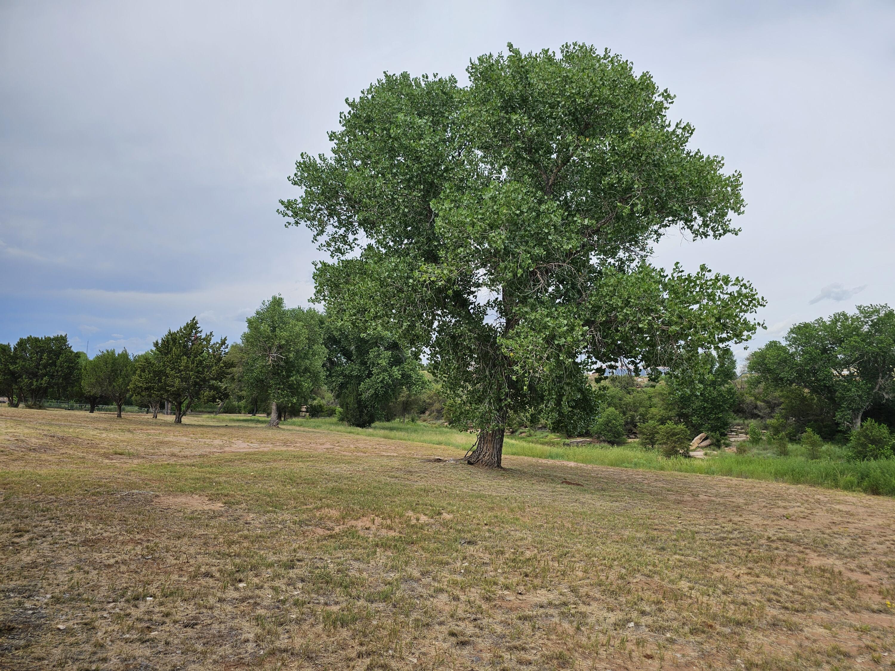 Photo 5 — 606 Lions Lane