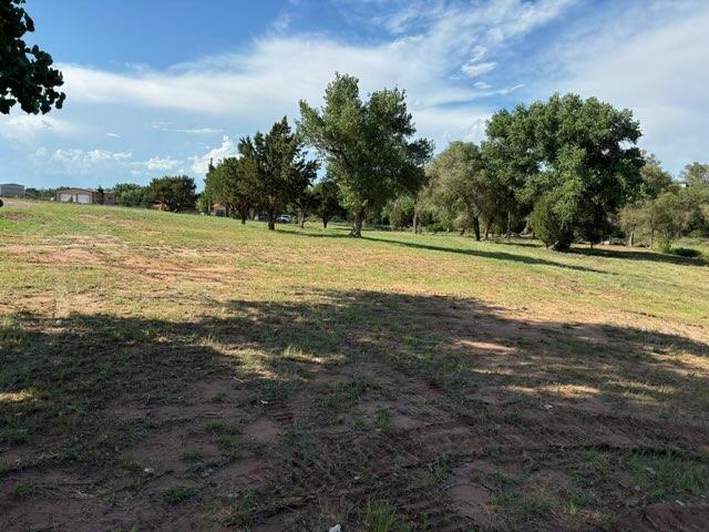 Photo 4 — 606 Lions Lane
