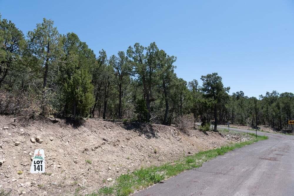 Photo 10 — 13 Los Pecos Trail