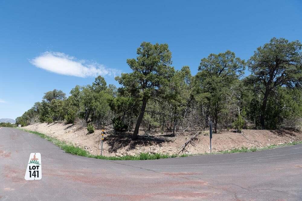 Photo 9 — 13 Los Pecos Trail