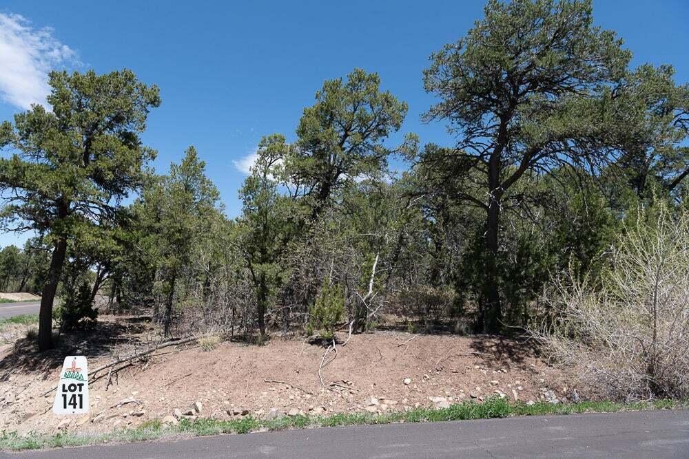 Photo 8 — 13 Los Pecos Trail