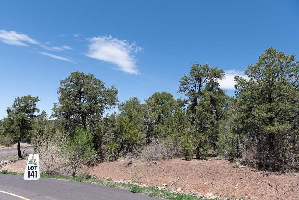 Photo 7 — 13 Los Pecos Trail
