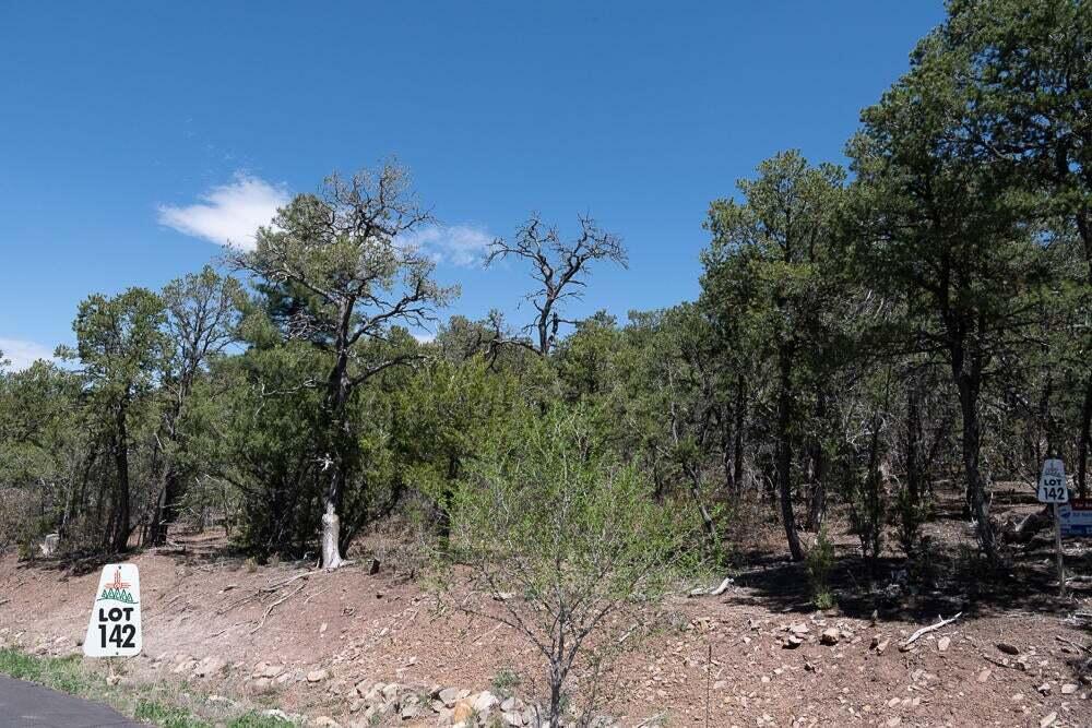Photo 6 — 13 Los Pecos Trail