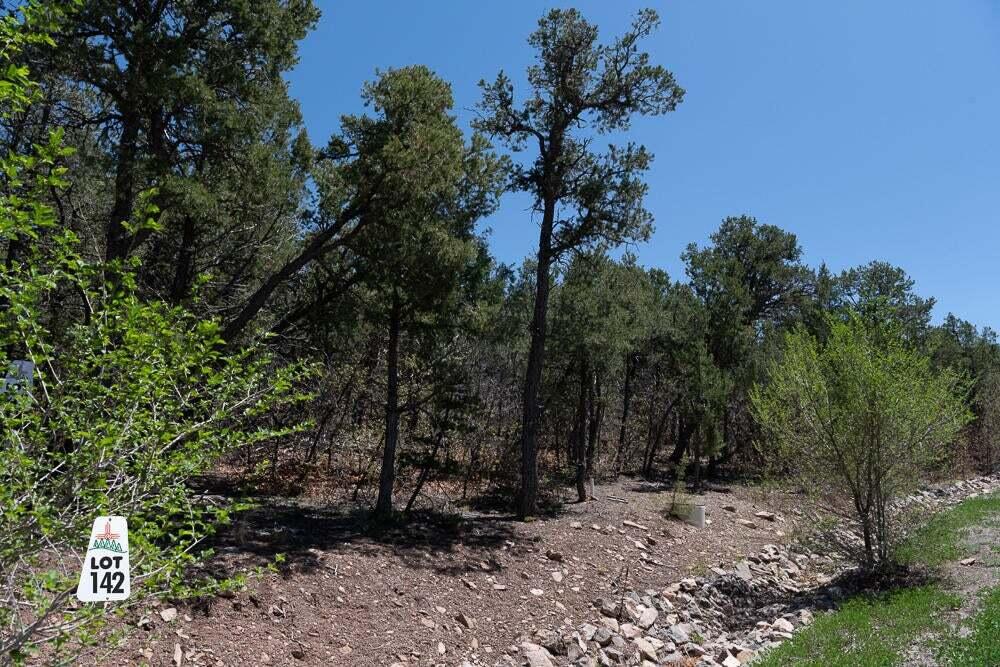 Photo 5 — 13 Los Pecos Trail