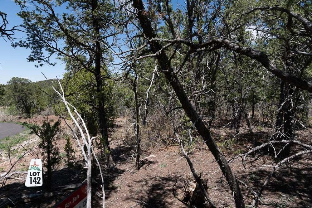 Photo 4 — 13 Los Pecos Trail