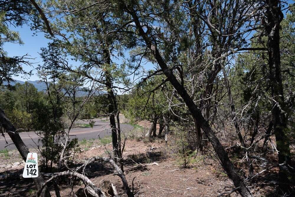 Photo 3 — 13 Los Pecos Trail