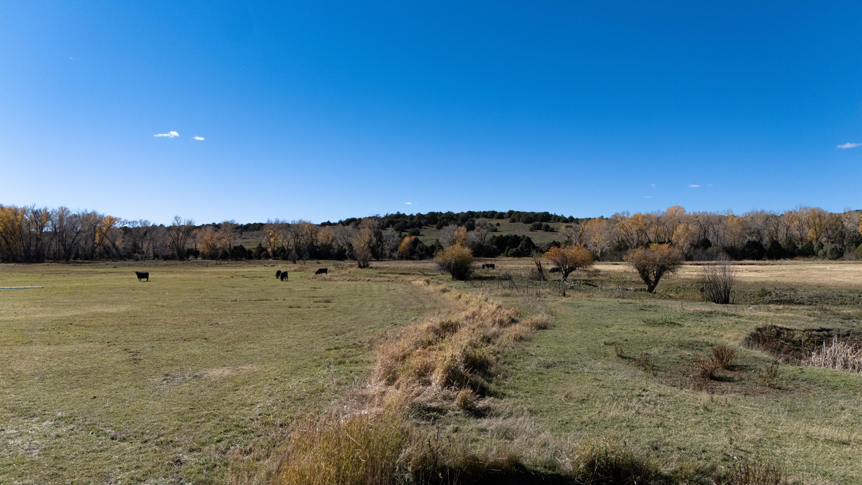 Photo 2 — 16853 U.S. 84 #64