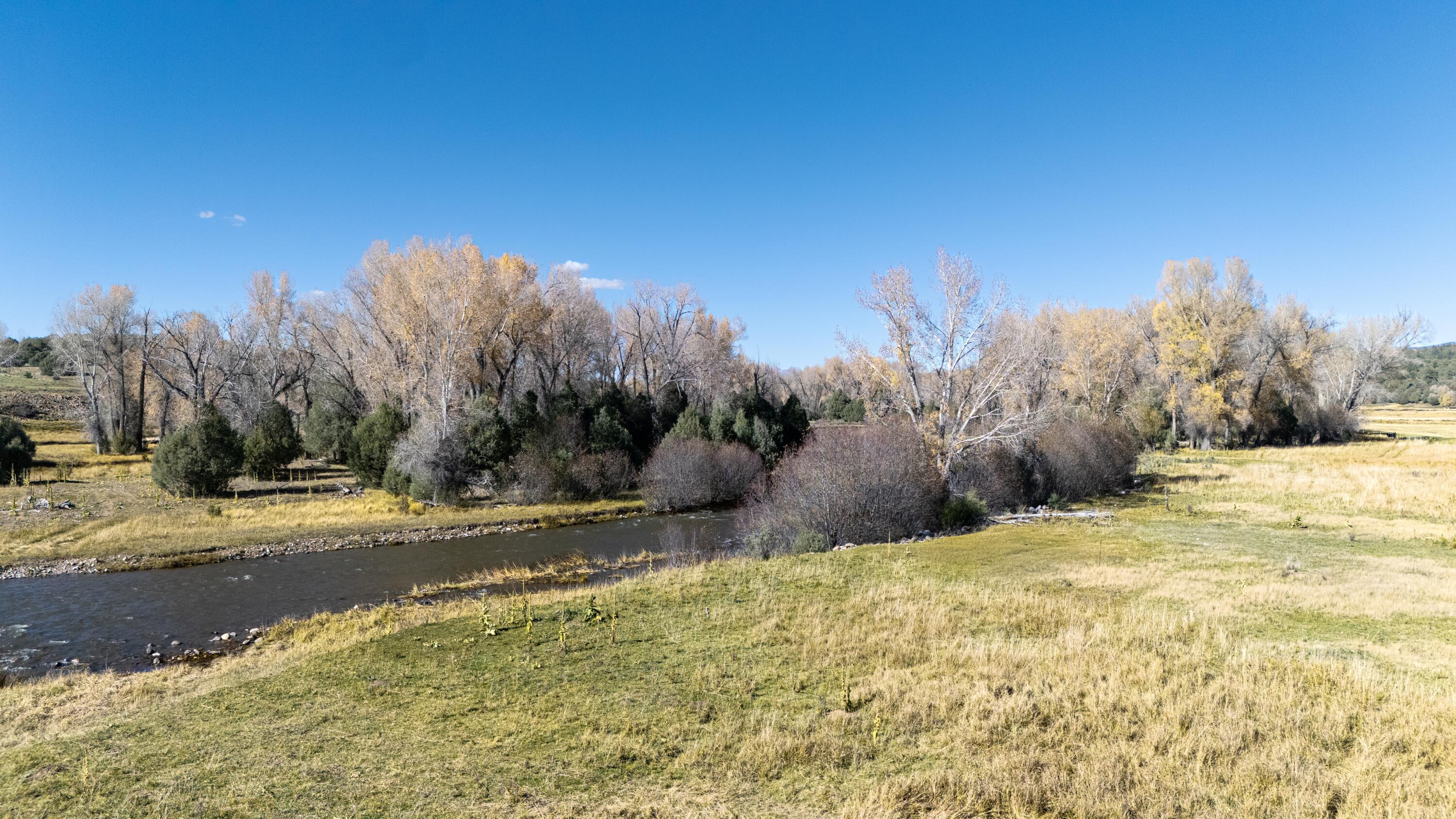 Photo 4 — 16853 U.S. 84 #64