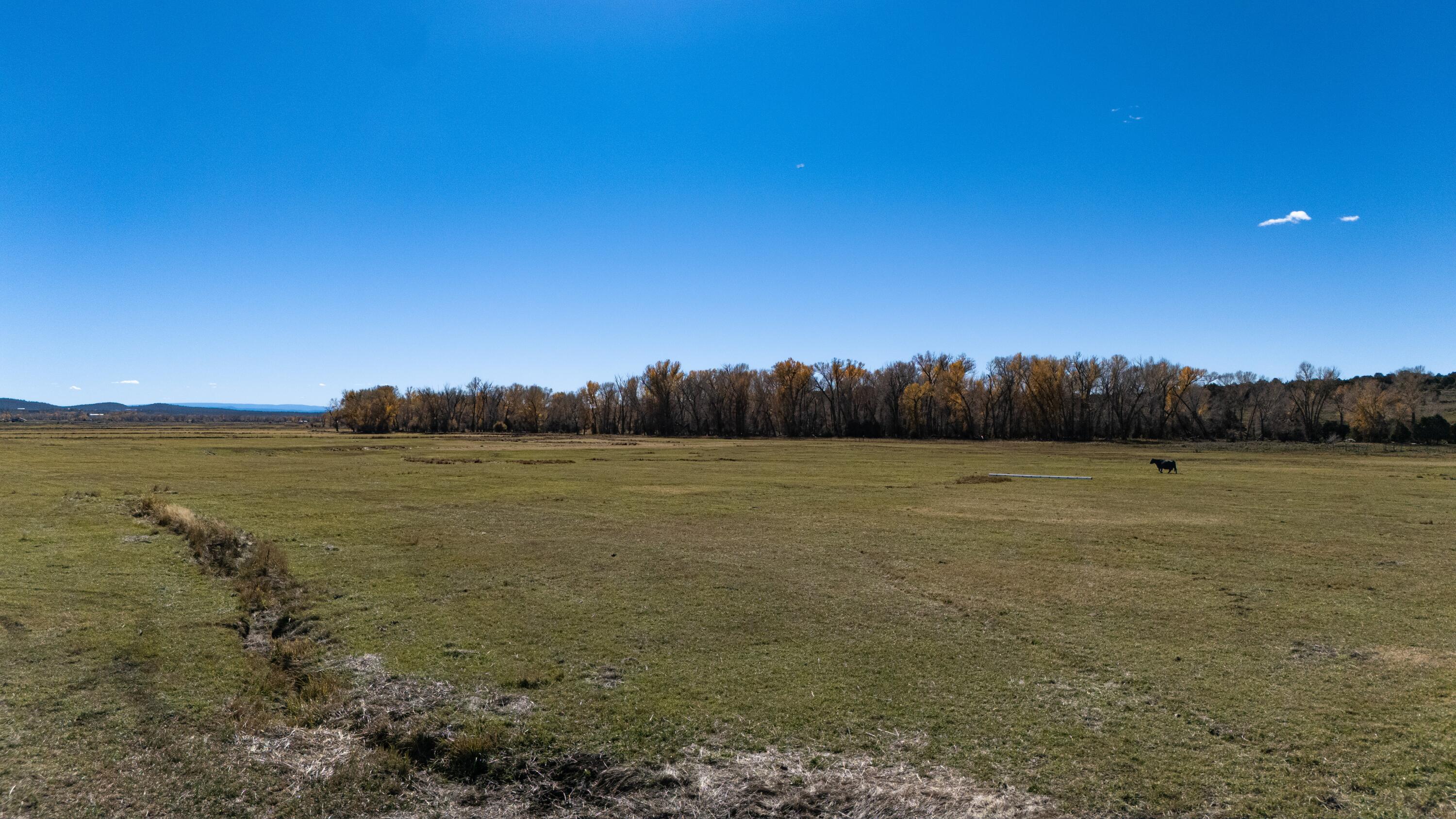 Photo 10 — 16853 U.S. 84 #64