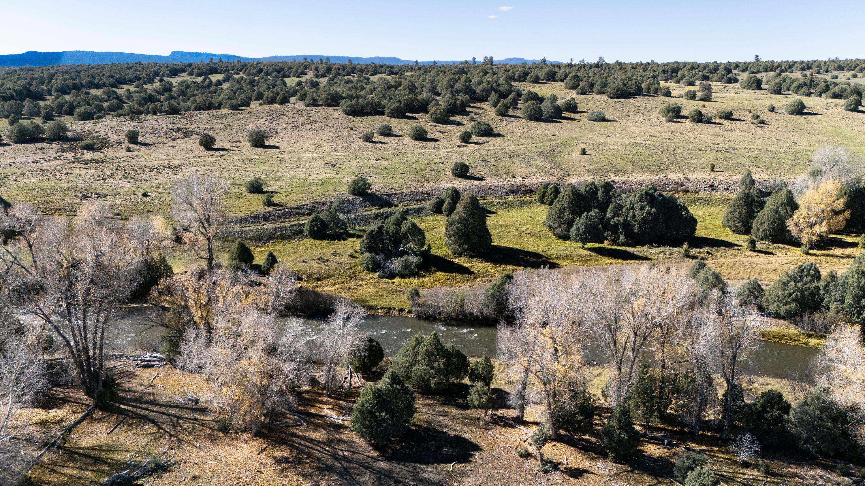 Photo 12 — 16853 U.S. 84 #64