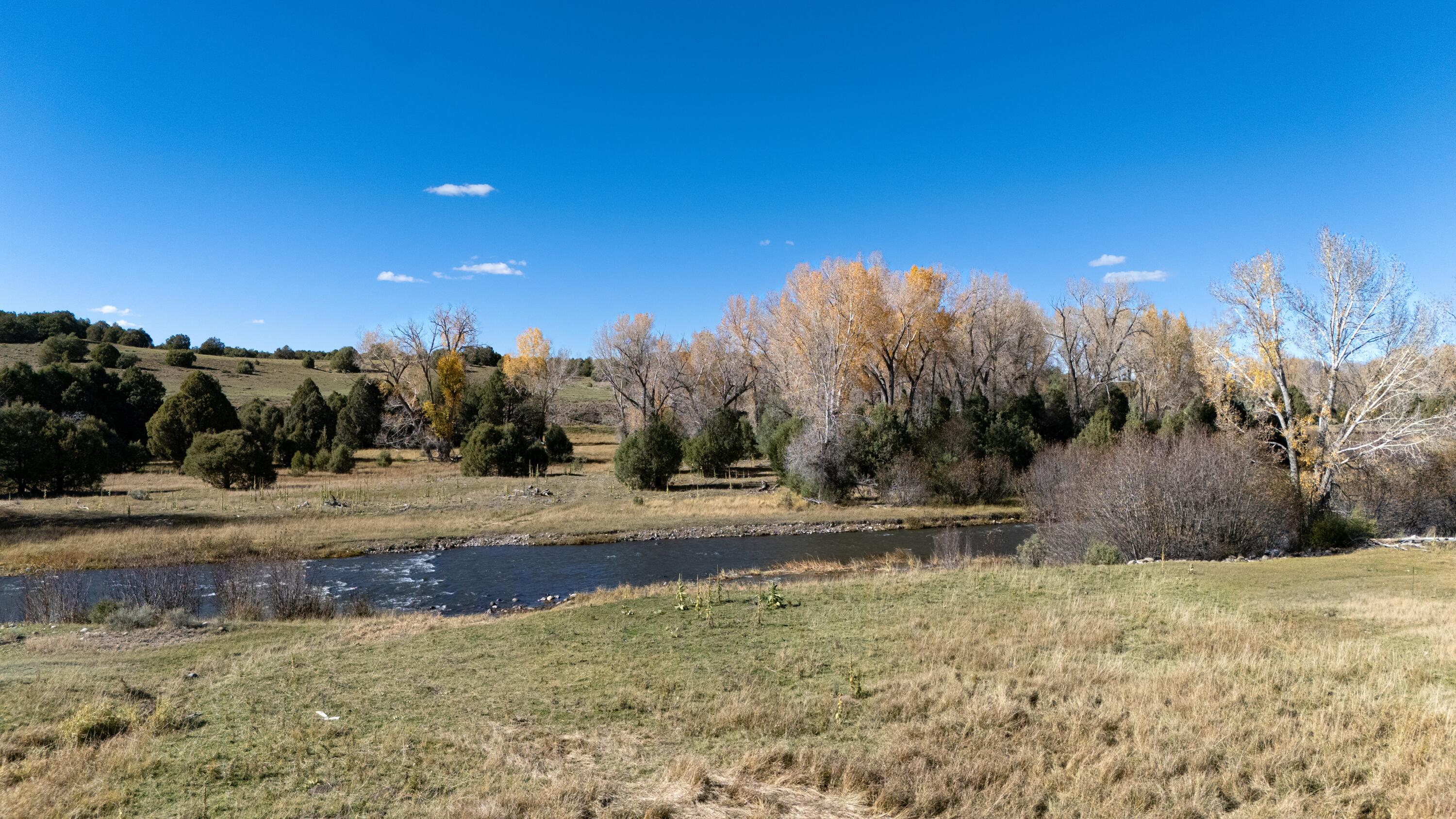 Photo 13 — 16853 U.S. 84 #64