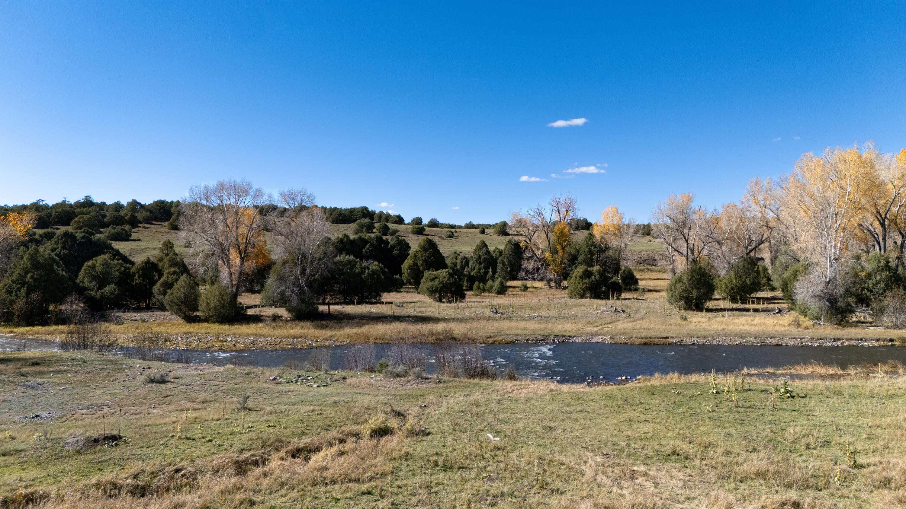 Photo 15 — 16853 U.S. 84 #64