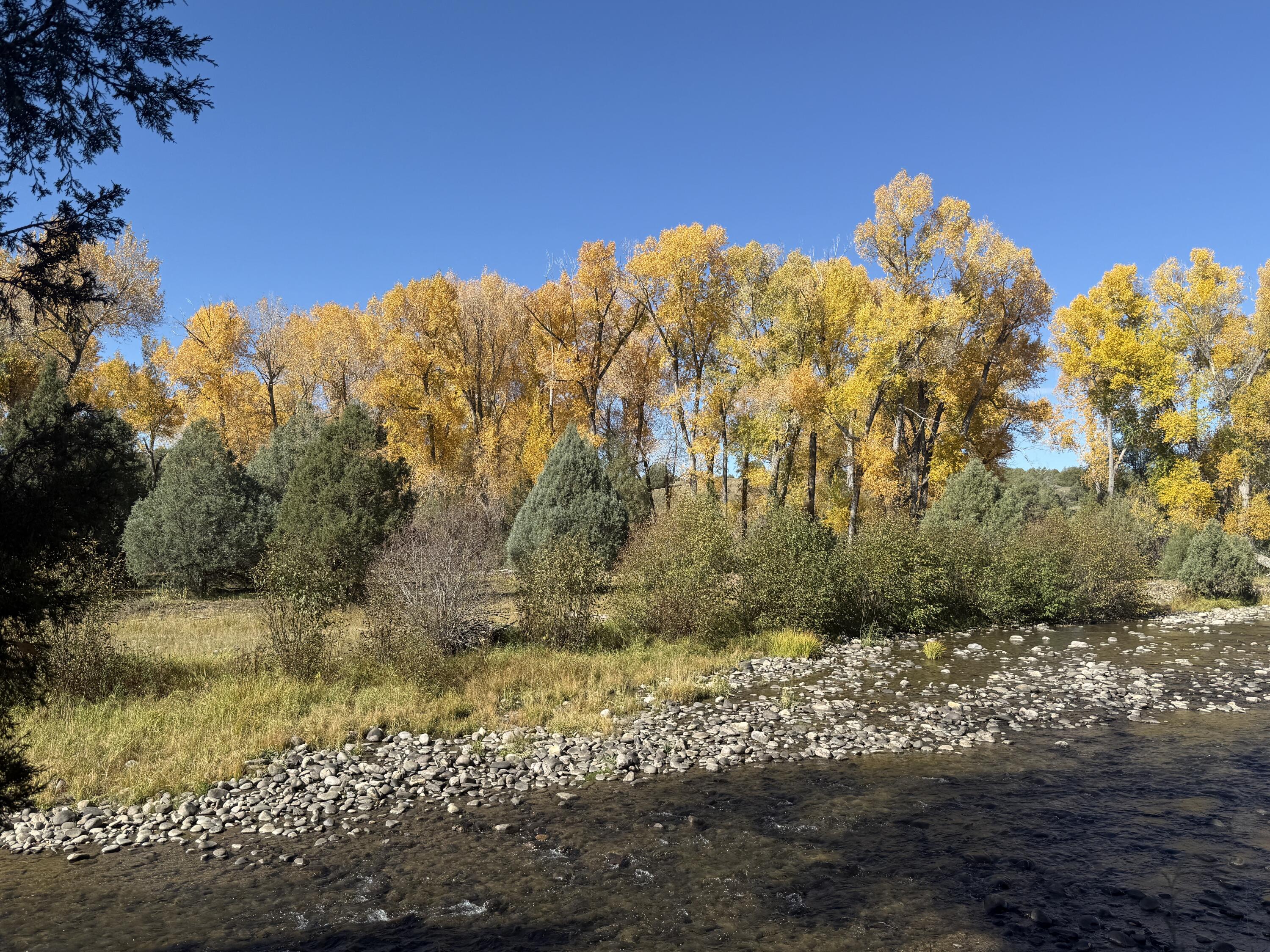 Photo 20 — 16853 U.S. 84 #64