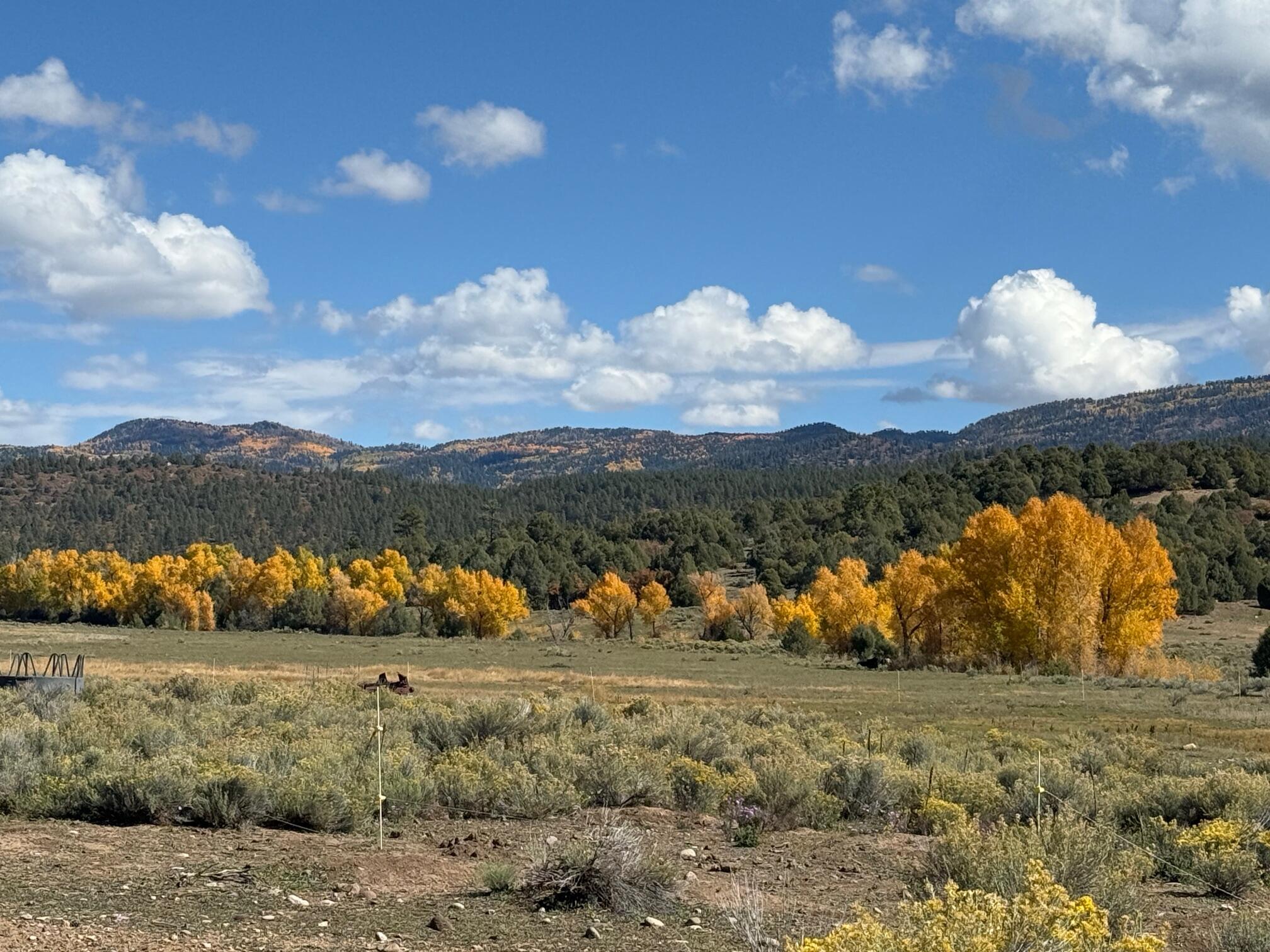 16853 US-84, Chama, NM 87520