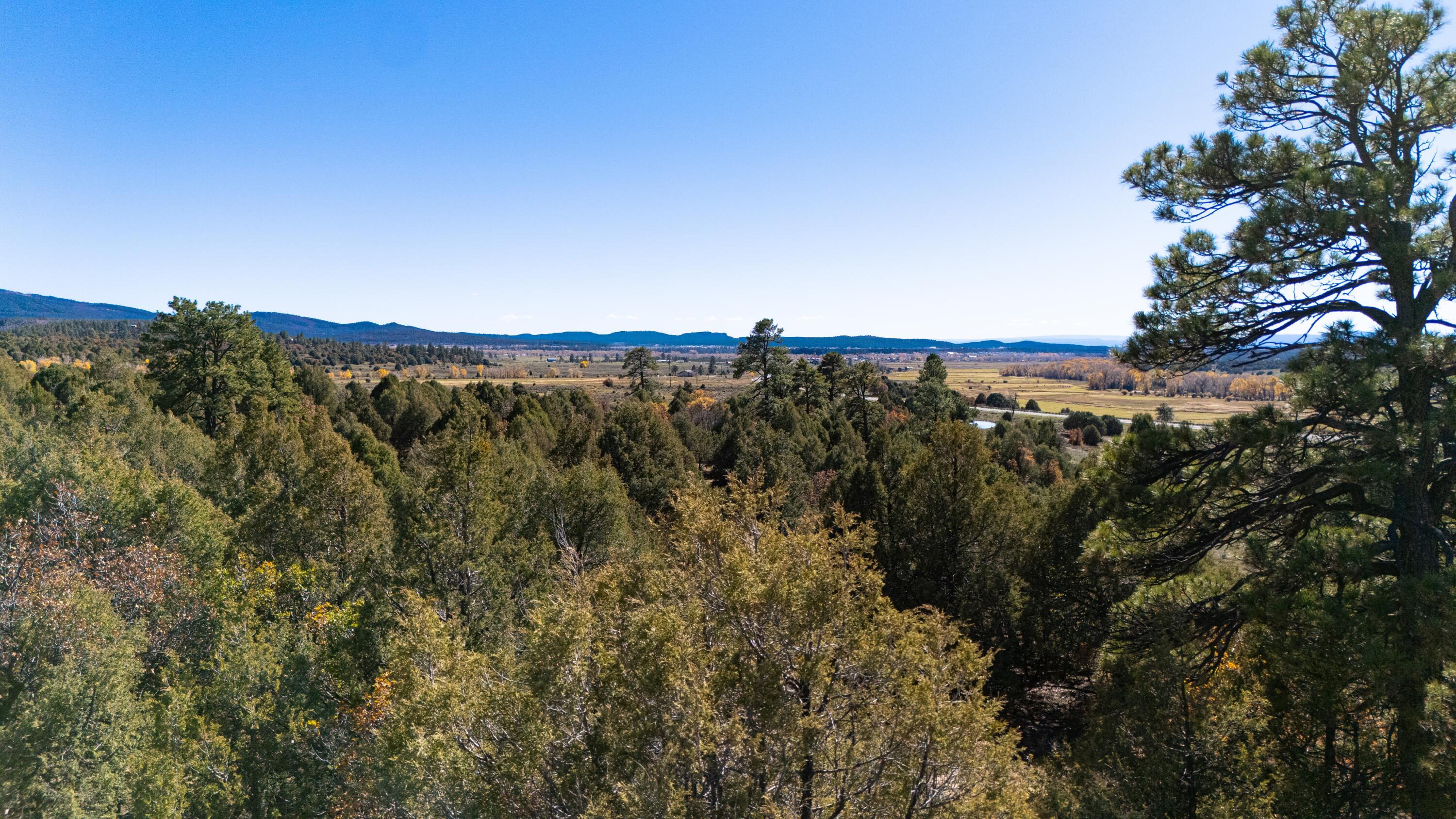Photo 6 — 16853 US-84