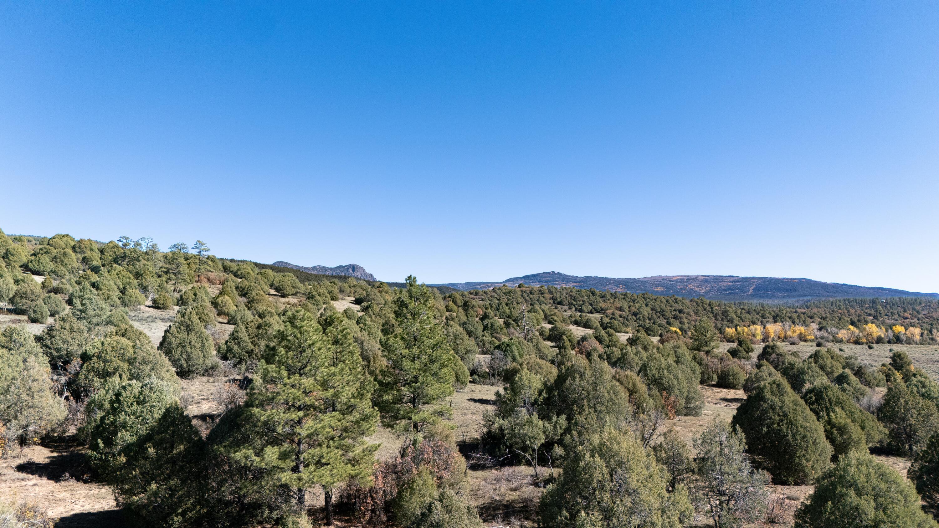 Photo 2 — 16853 US-84