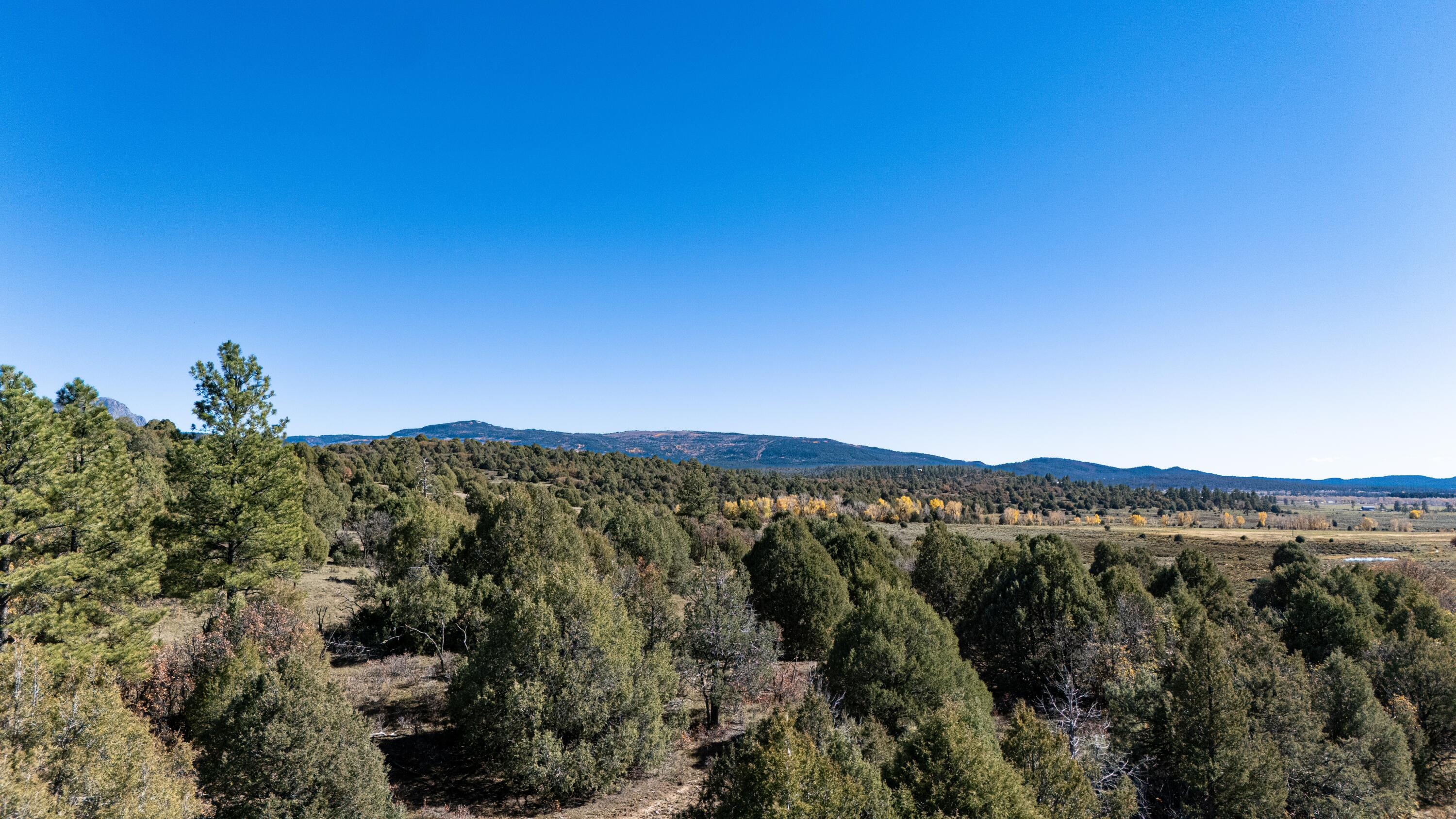 Photo 4 — 16853 US-84