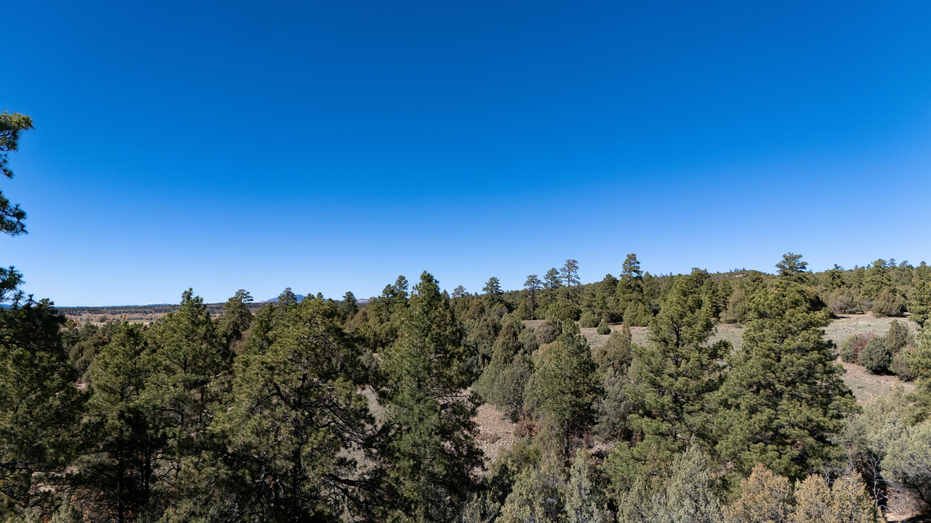 Photo 18 — 16853 US-84