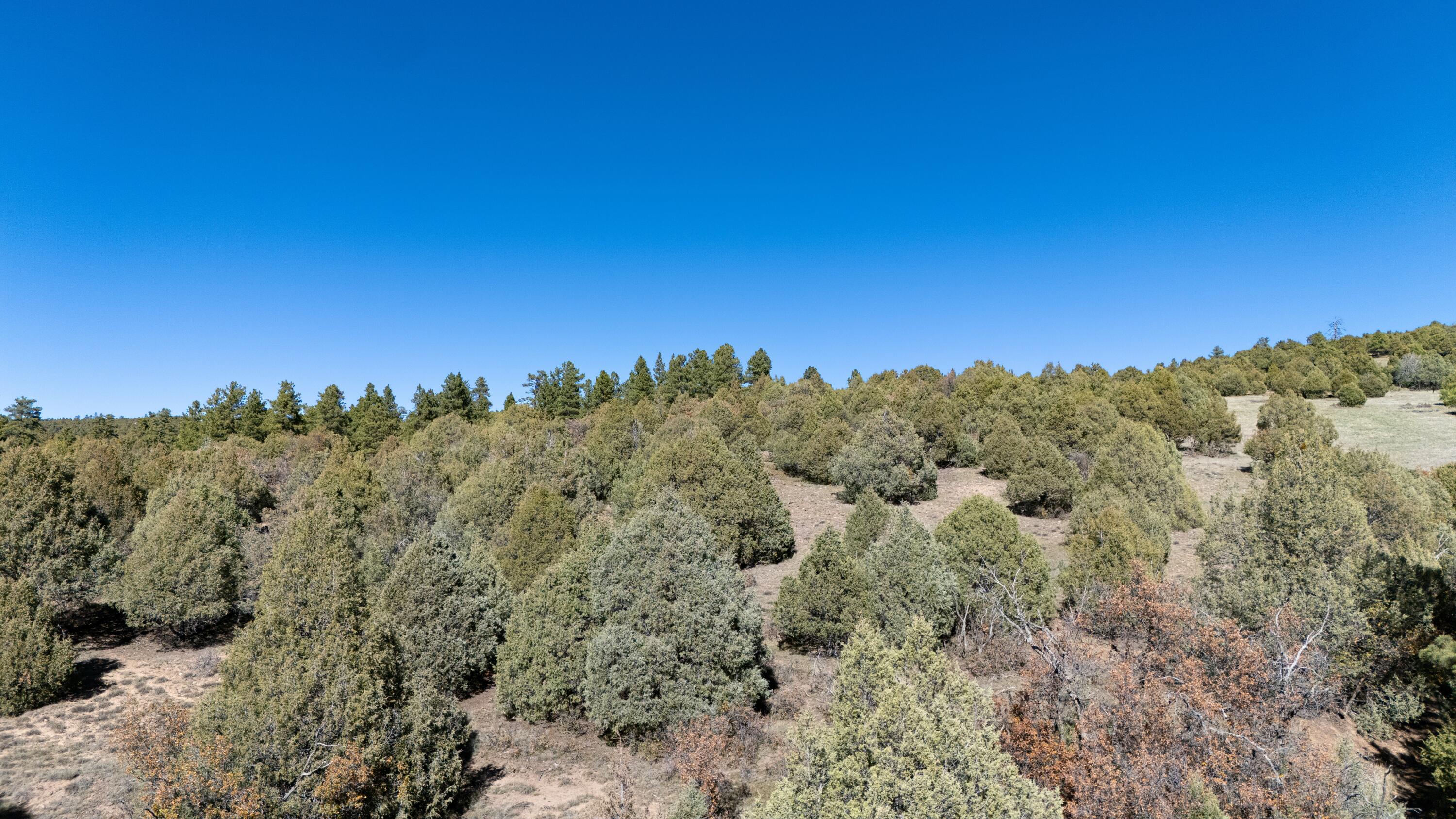 Photo 19 — 16853 US-84
