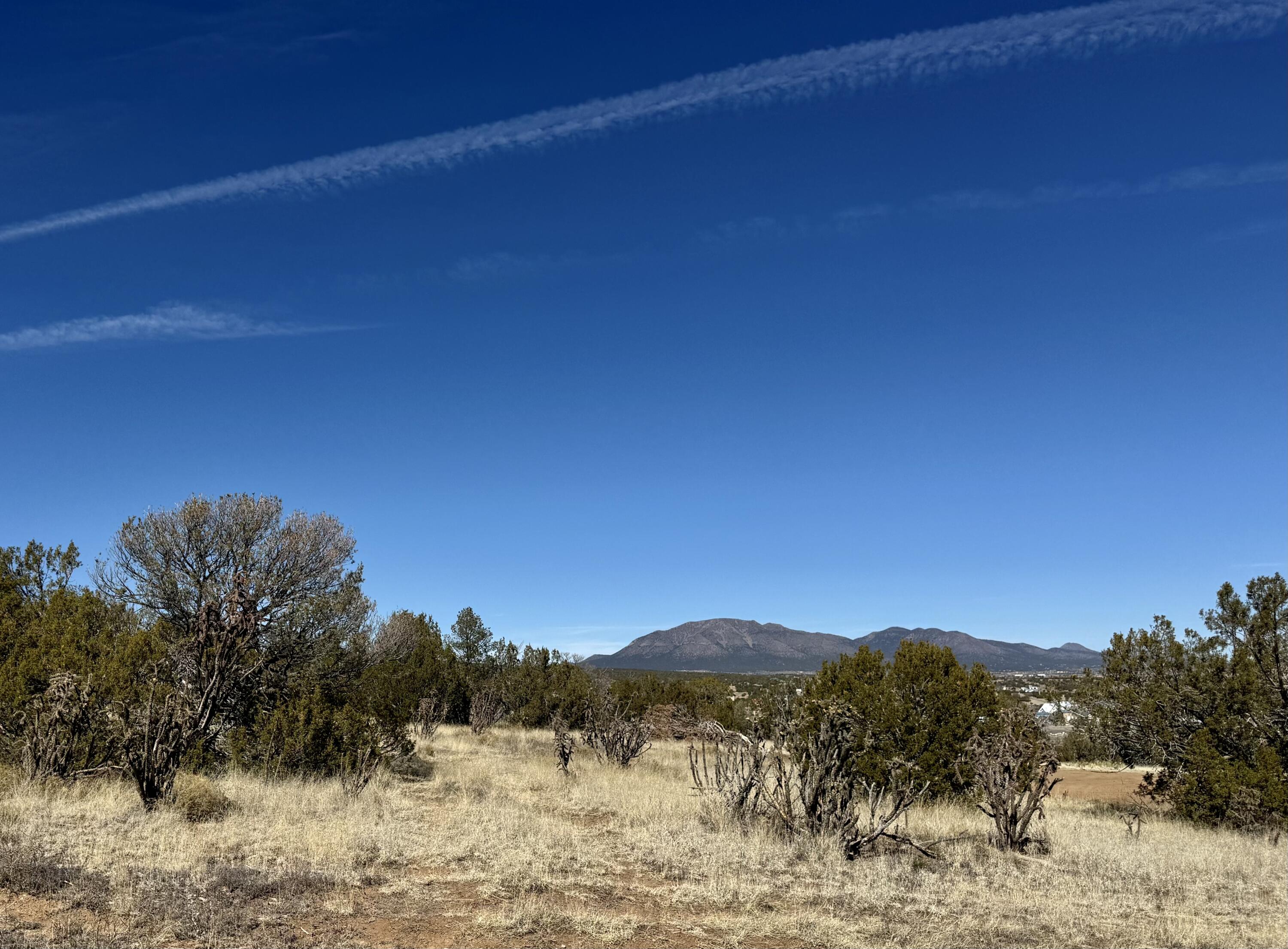 16 Wildwood Drive, Edgewood, NM 87015