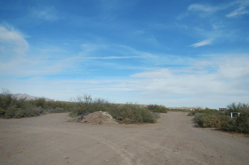 Photo 4 —  El Camino Real Street