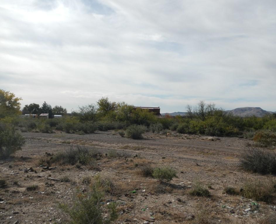 Photo 3 —  El Camino Real Street