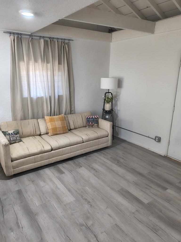 Photo 6 — 335 Mt. Carmel Avenue