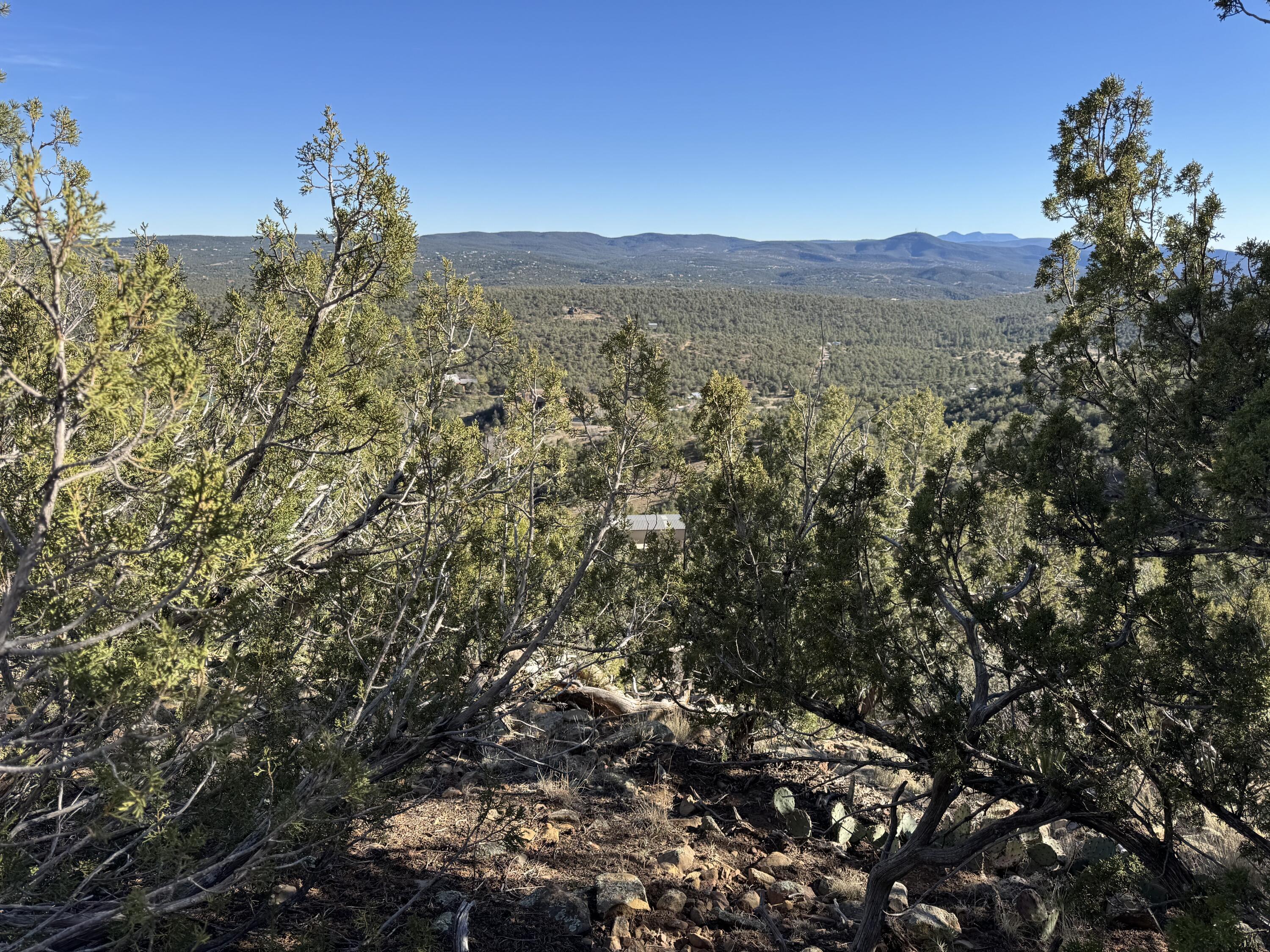 Photo 20 — 197 & 201 Pinon Trail