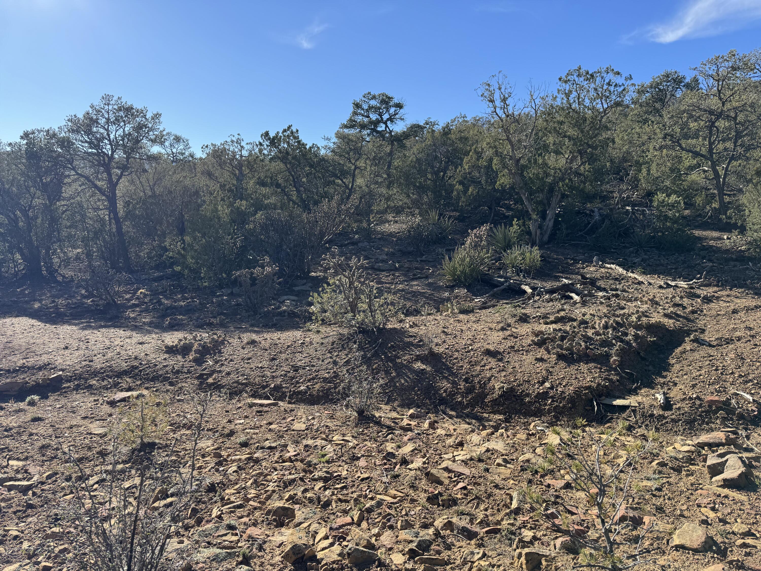Photo 19 — 197 & 201 Pinon Trail