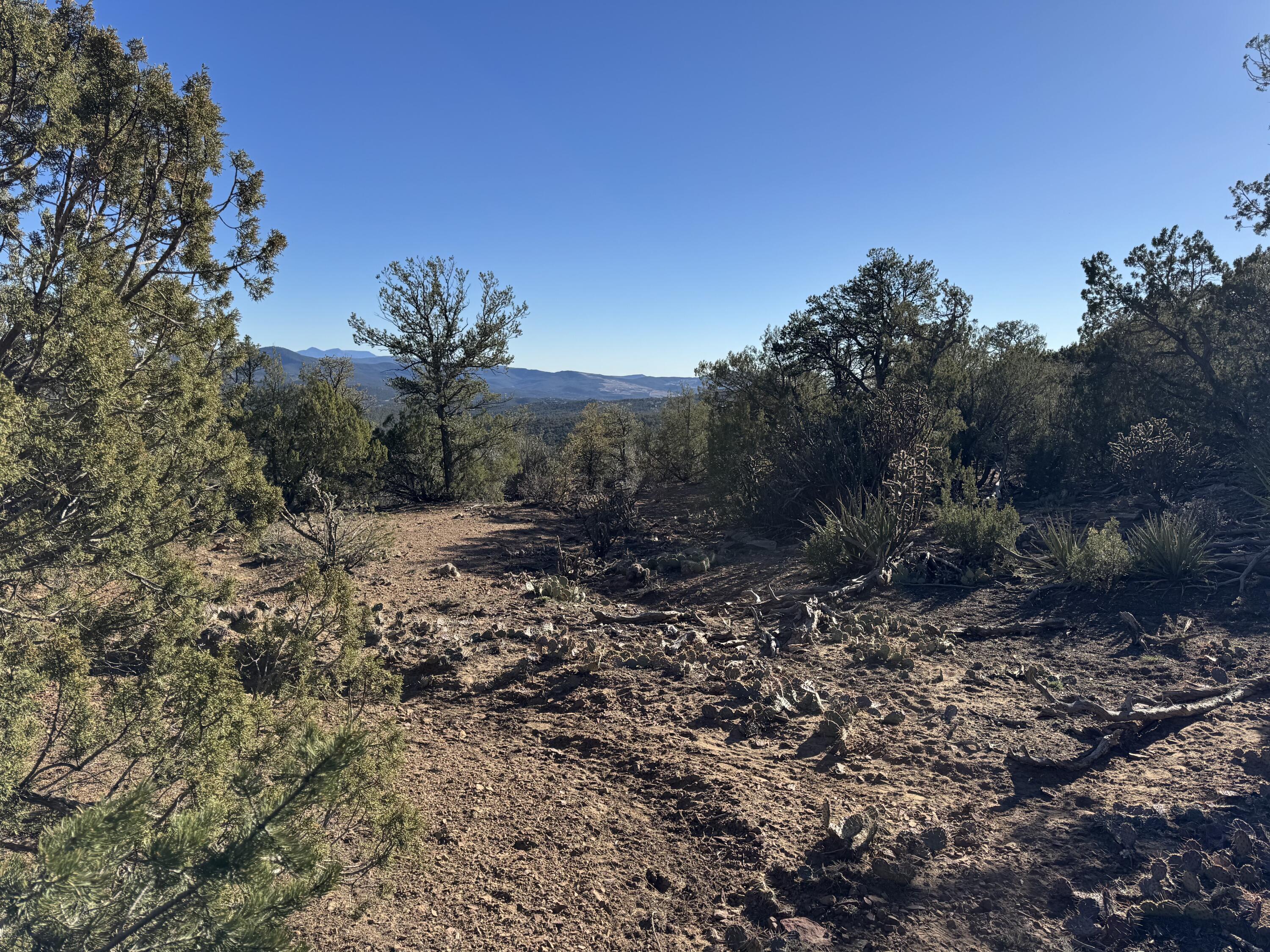 Photo 18 — 197 & 201 Pinon Trail