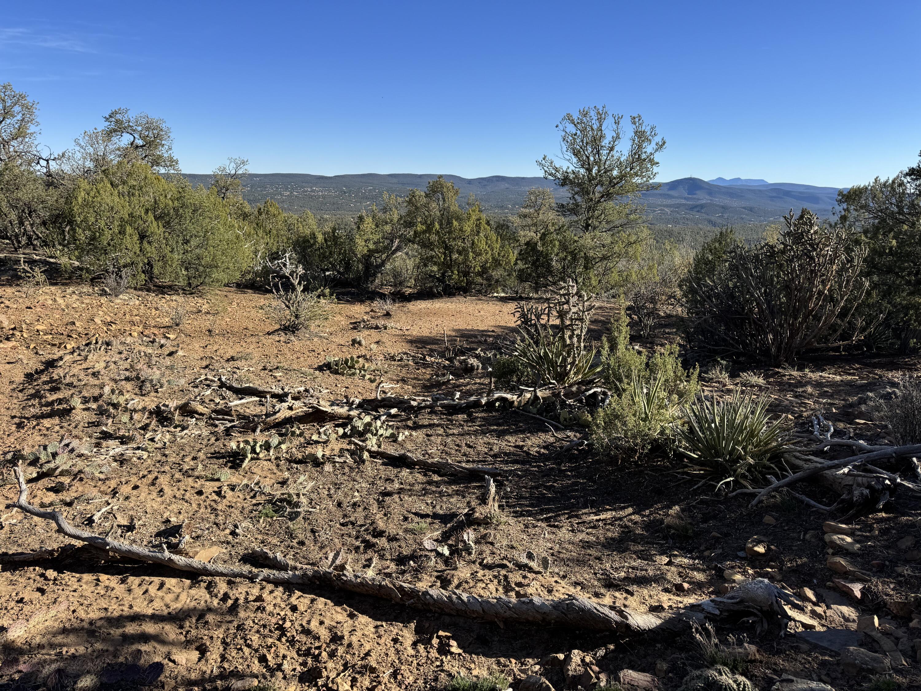 Photo 17 — 197 & 201 Pinon Trail