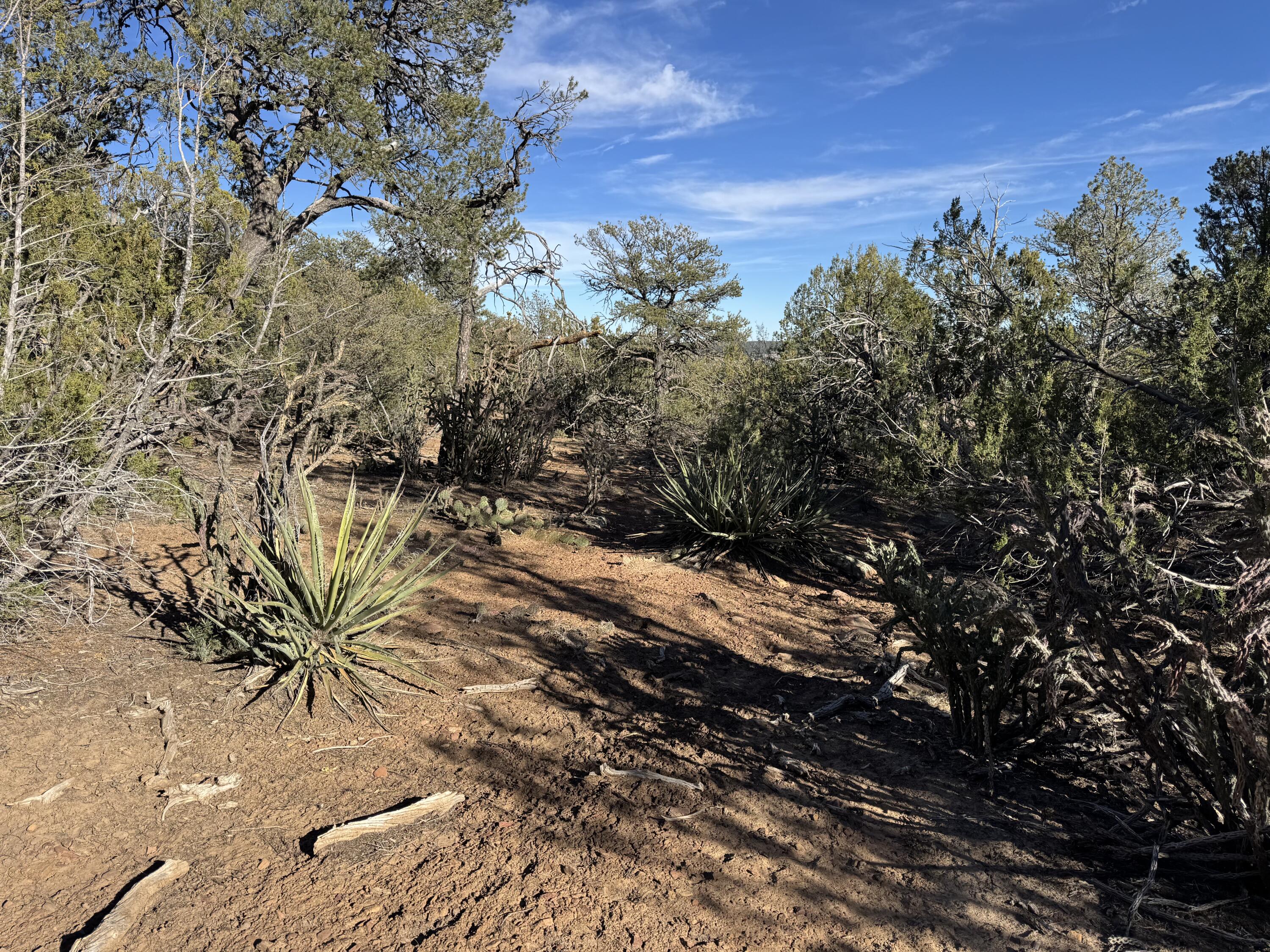 Photo 16 — 197 & 201 Pinon Trail