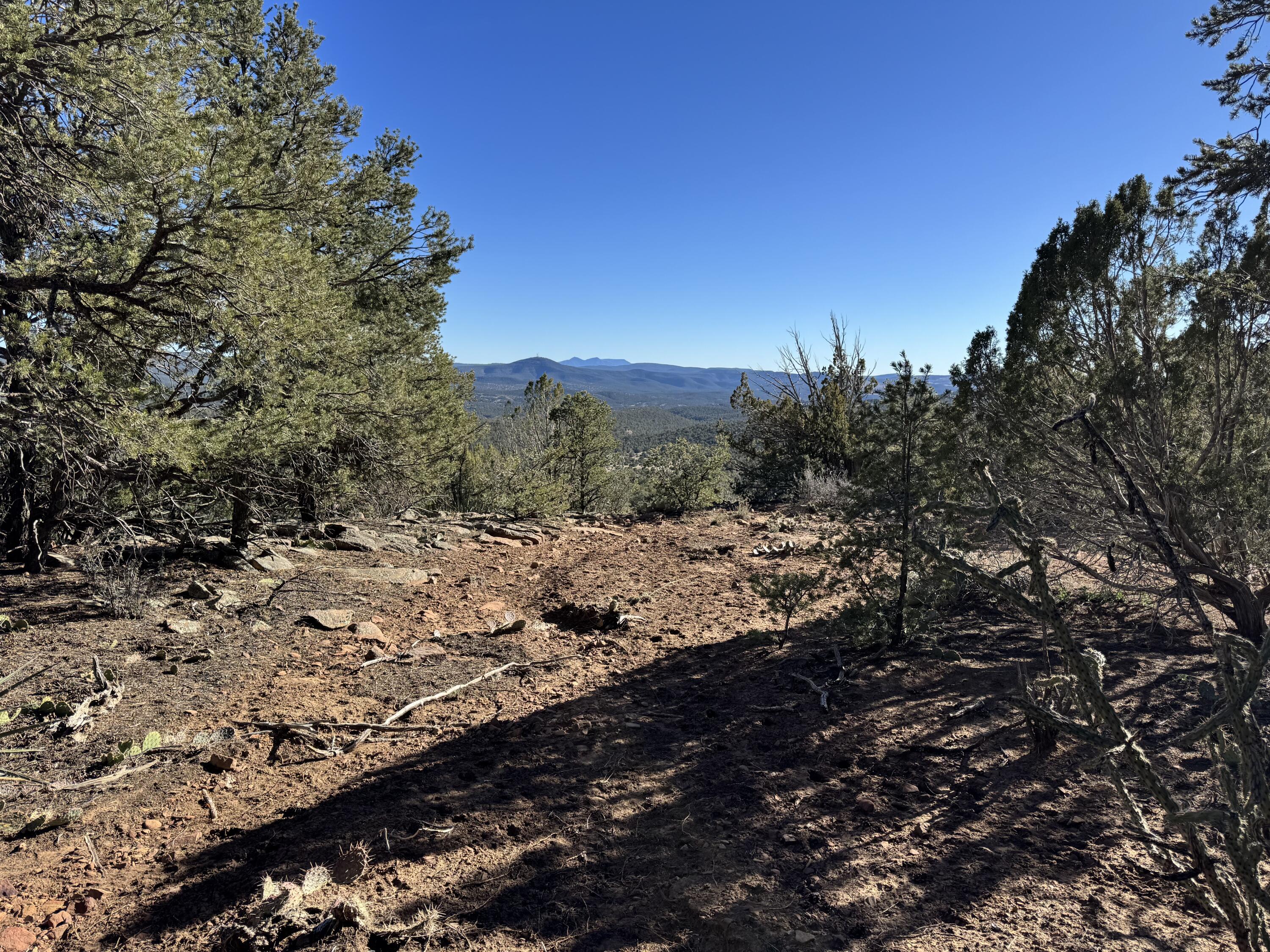 Photo 14 — 197 & 201 Pinon Trail