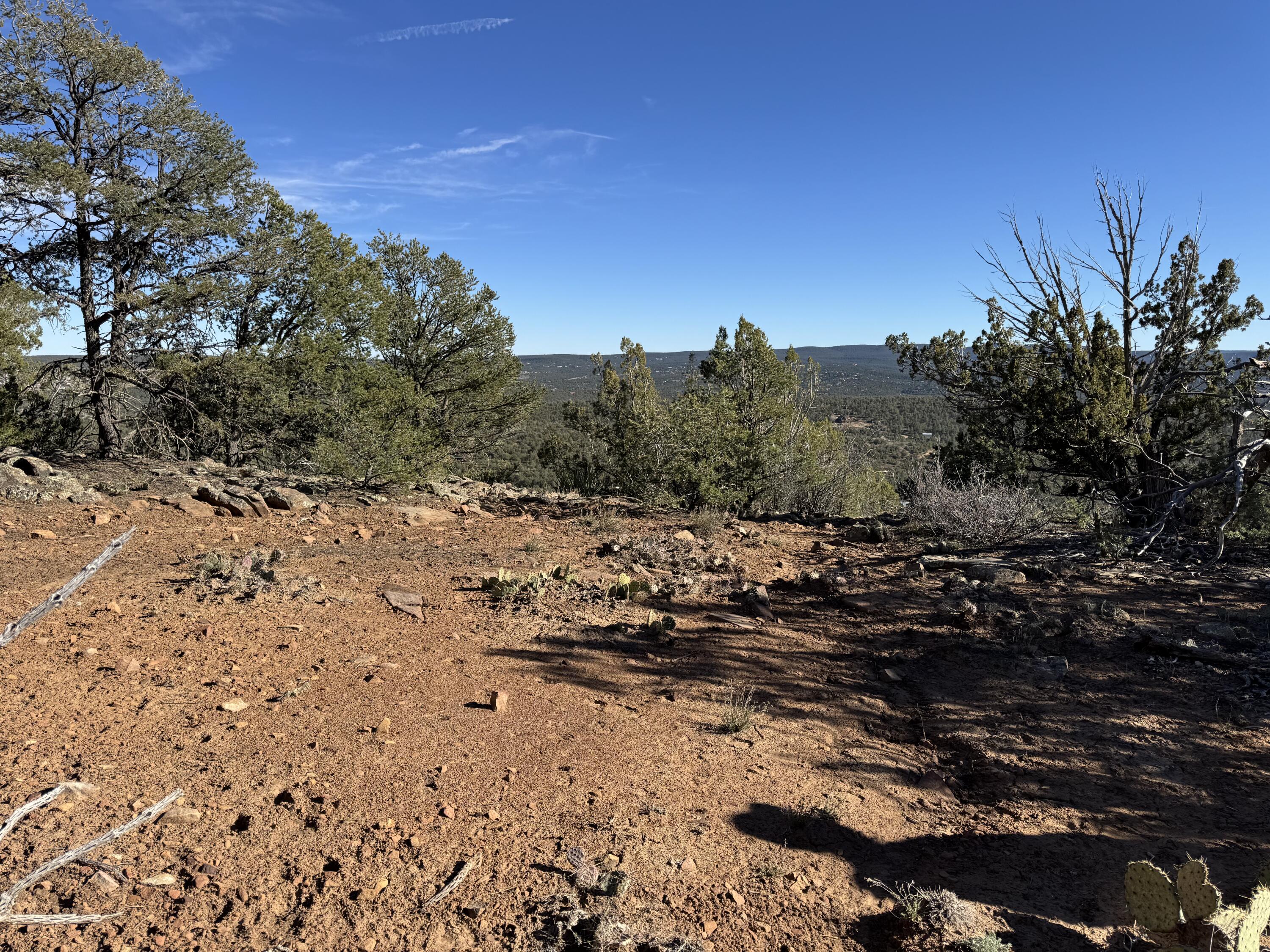 Photo 13 — 197 & 201 Pinon Trail