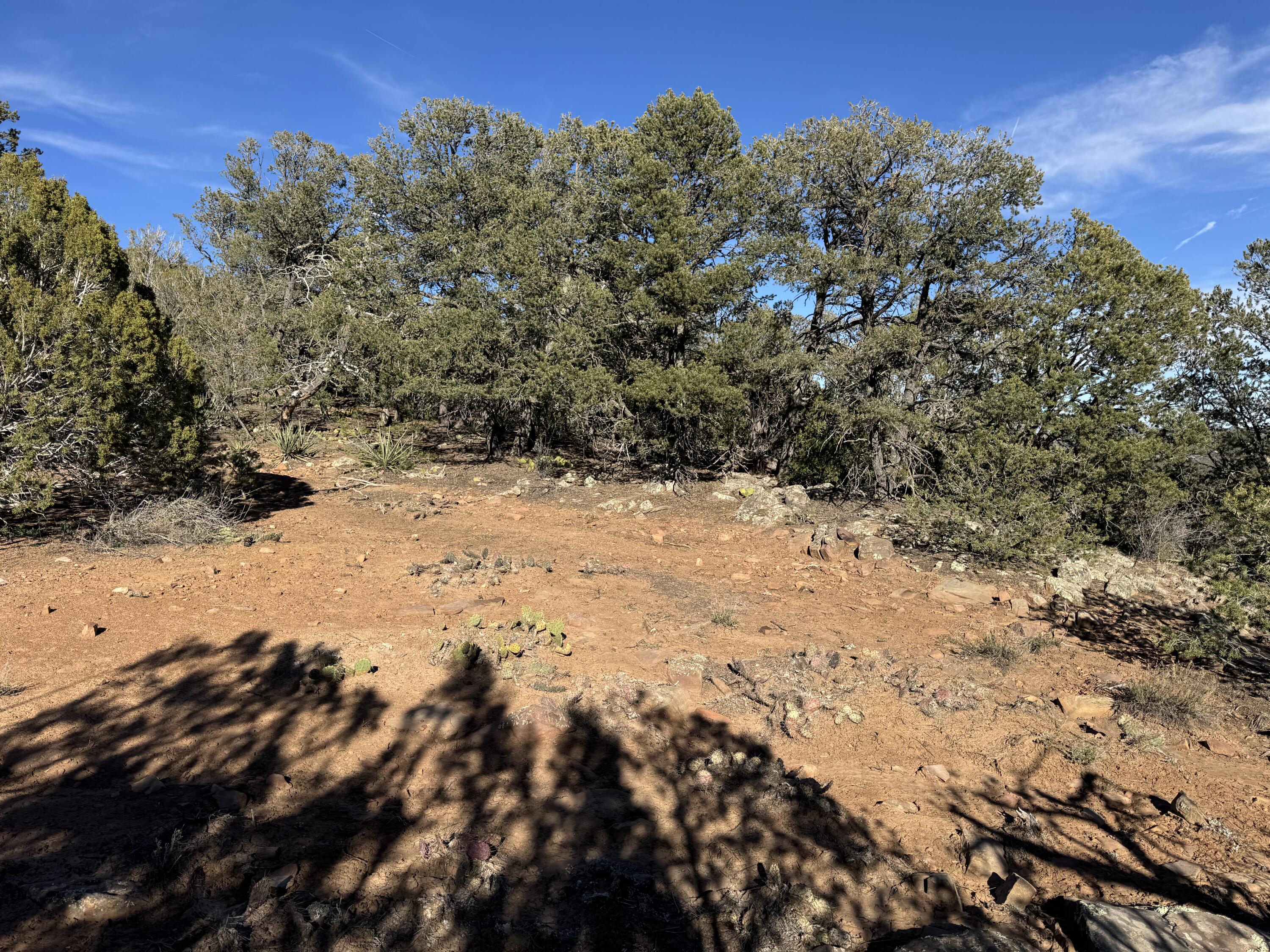 Photo 12 — 197 & 201 Pinon Trail
