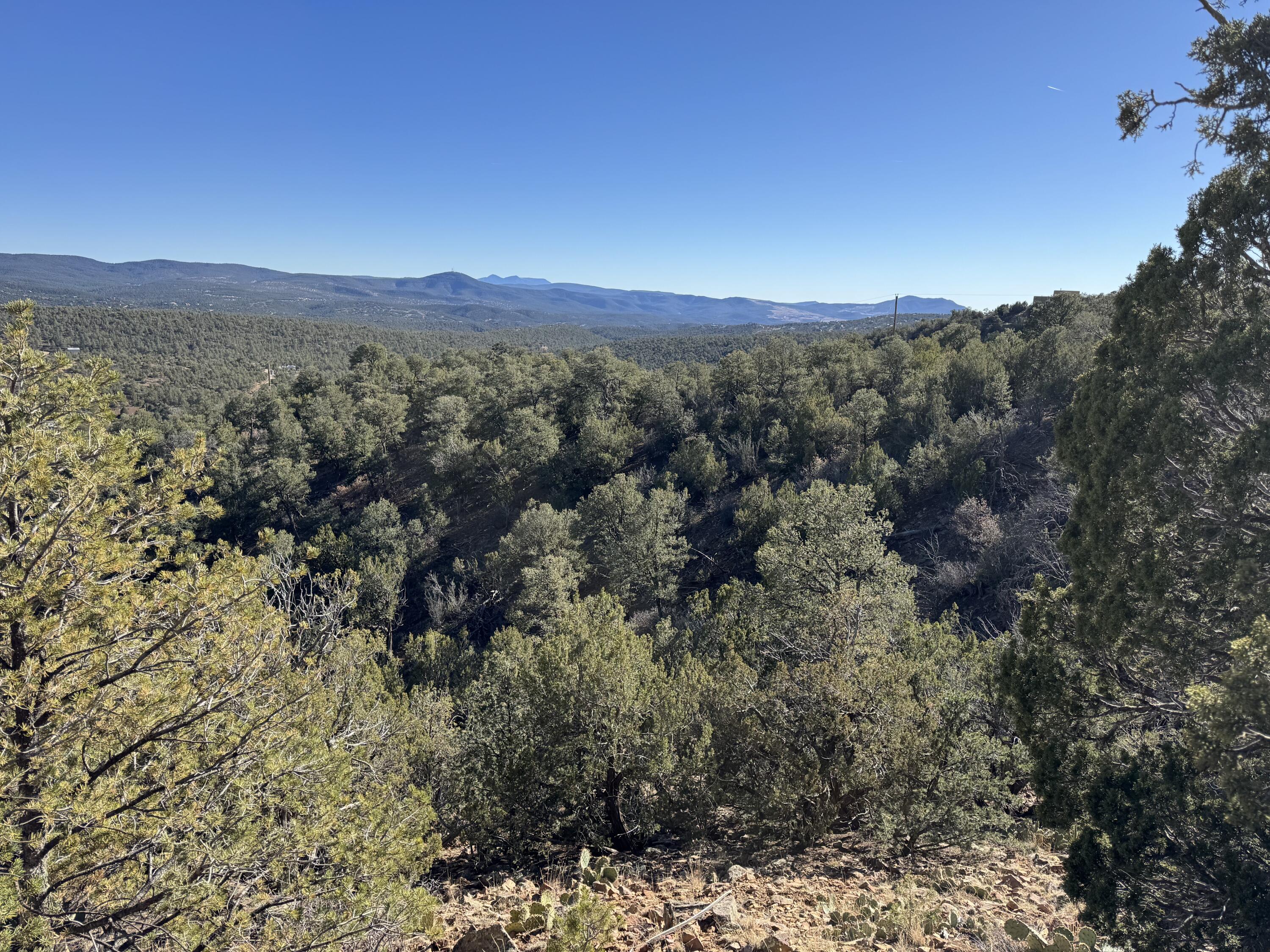 Photo 11 — 197 & 201 Pinon Trail