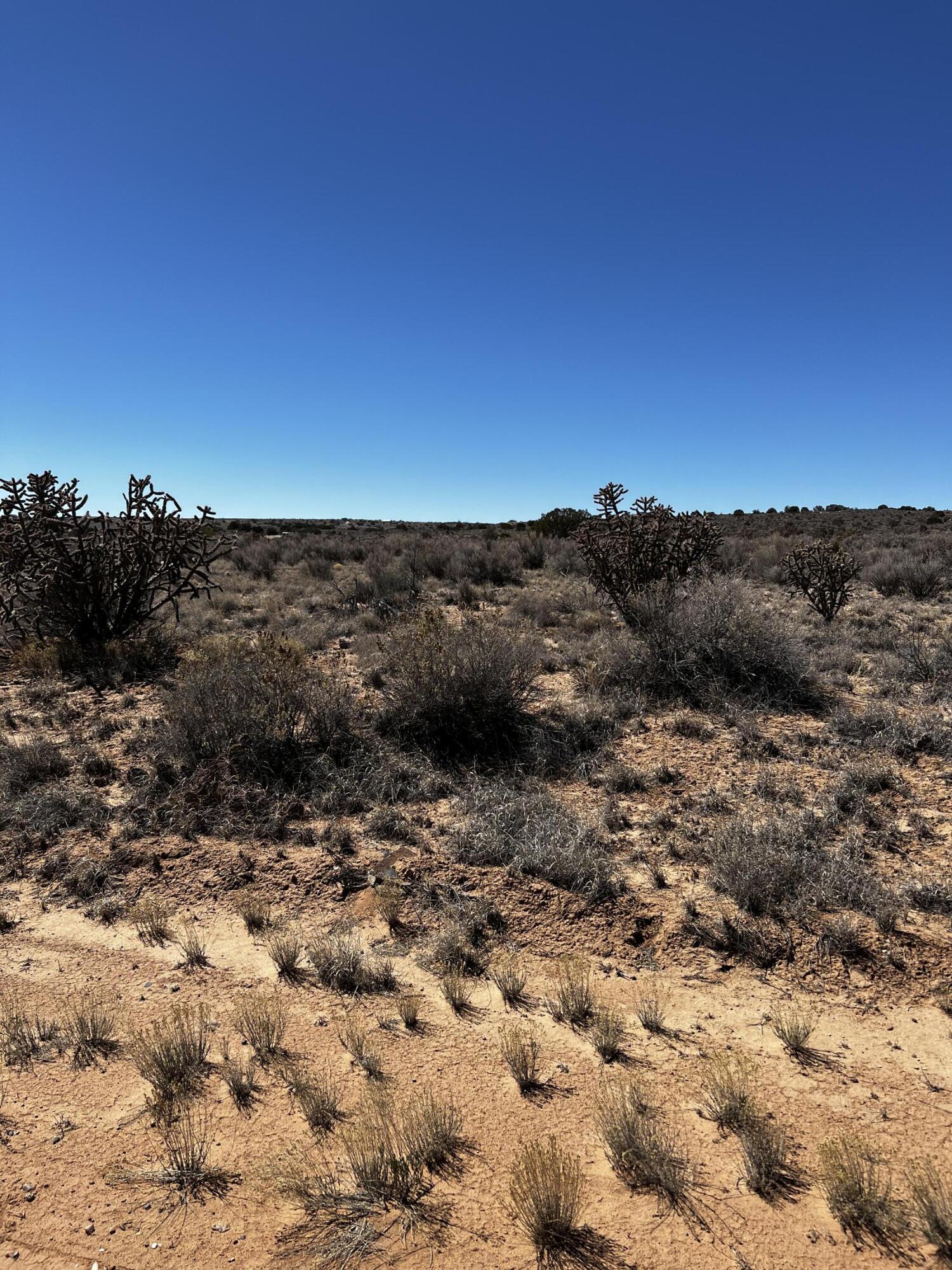 Photo 2 —  27th Road SW