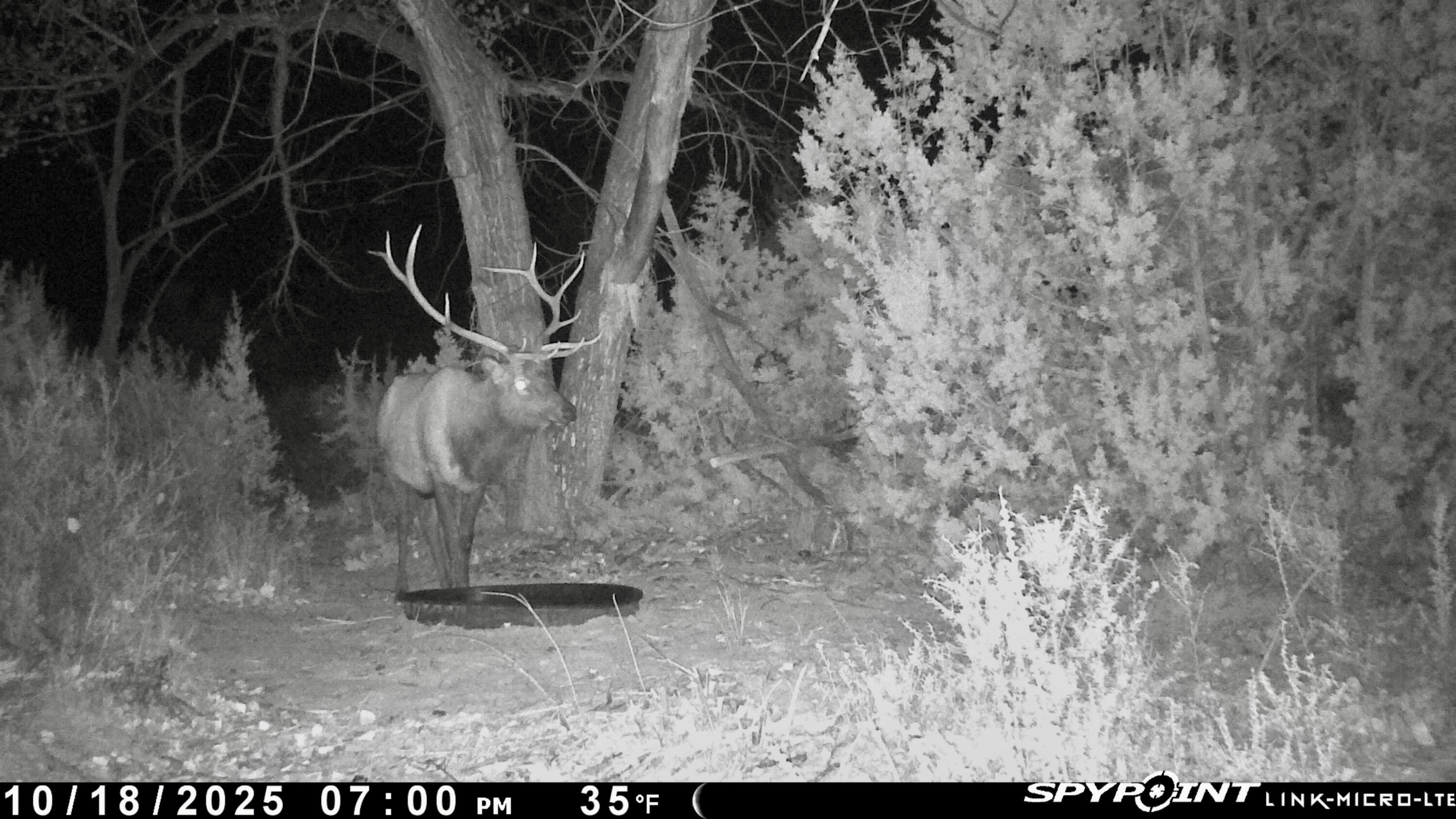 Photo 5 — 252 County Rd 156