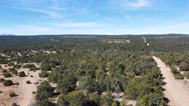  McComb Road Tract AA, Edgewood, NM 87015
